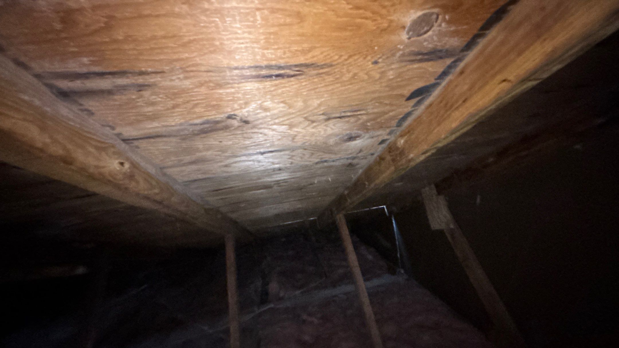 Roof Replacement using Owens Corning Summer Harvest by 180 Contractors