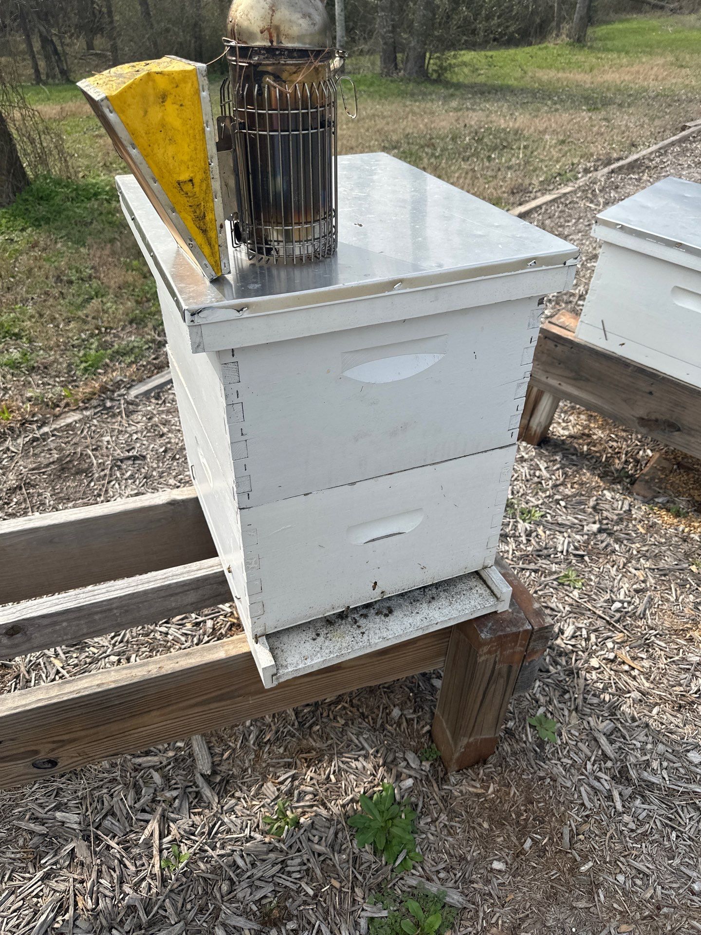 Ag. Exemption Client in Wylie by Rockwall Honey Bee Company