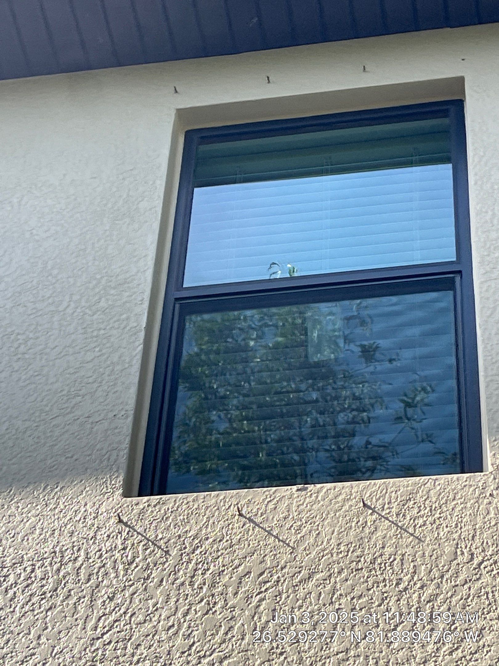 Window Installation using CGI by Windows For Life 