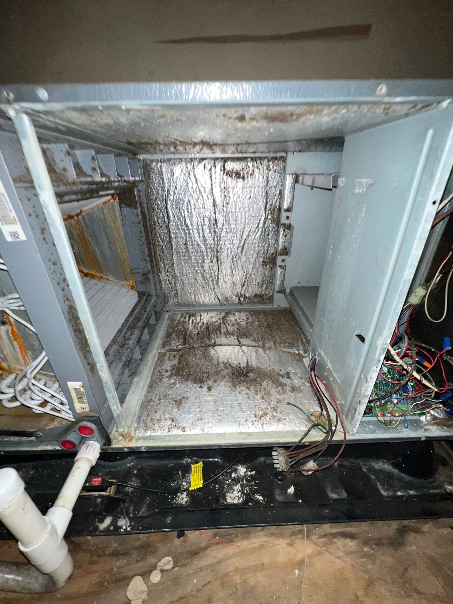 Air Duct Cleaning and Suspect Growth Removal Before and After Video/Photos Removal of mechanical component. by All Seasons Air Duct Cleaning 