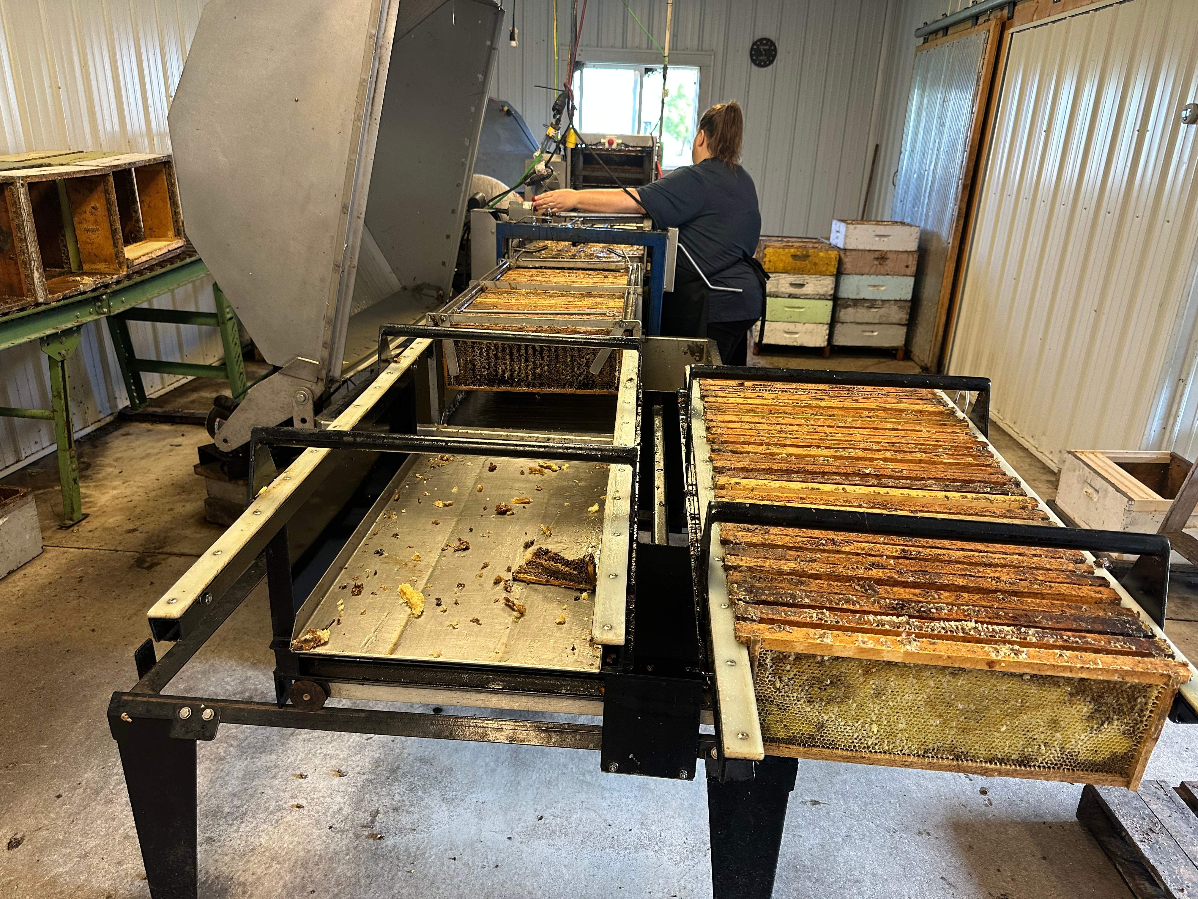 BeeGirl's Honey House in the Midwest by Rockwall Honey Bee Company