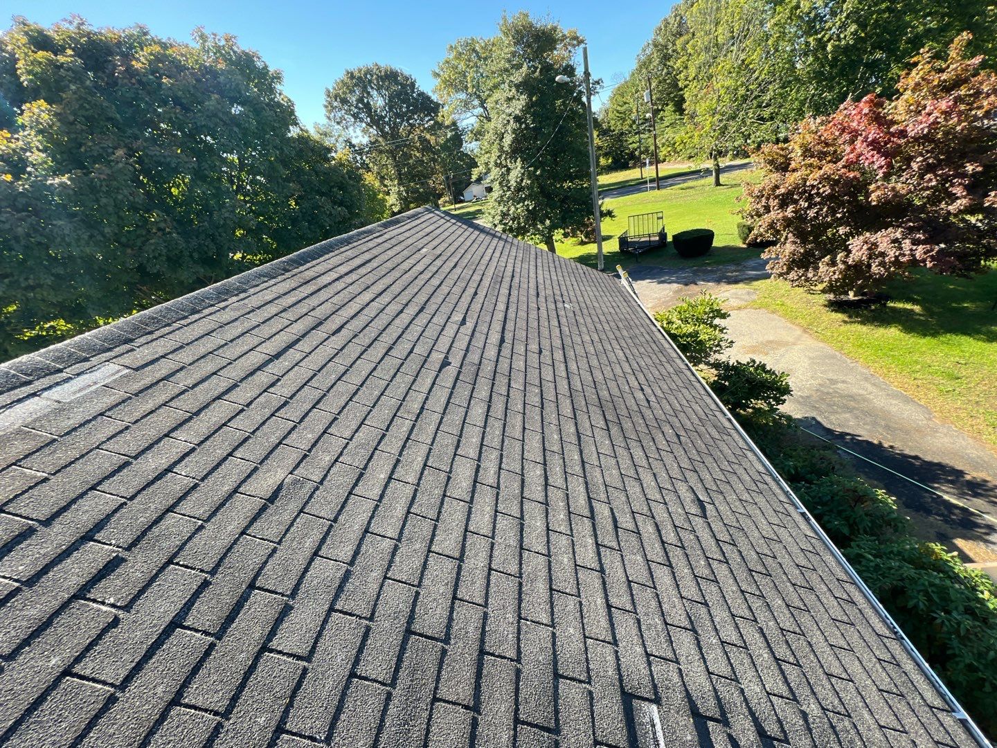 Silver Birch Shingles by Reimagine Roofing