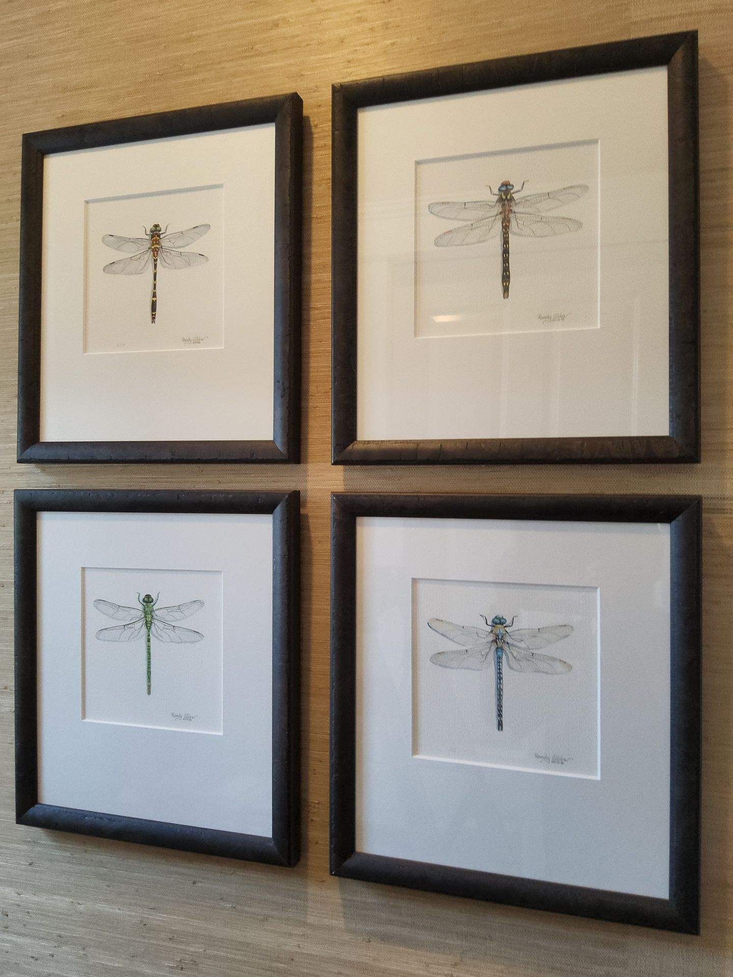 Art & Mirror Hanging Projects by Hangman Mounting & Installation 