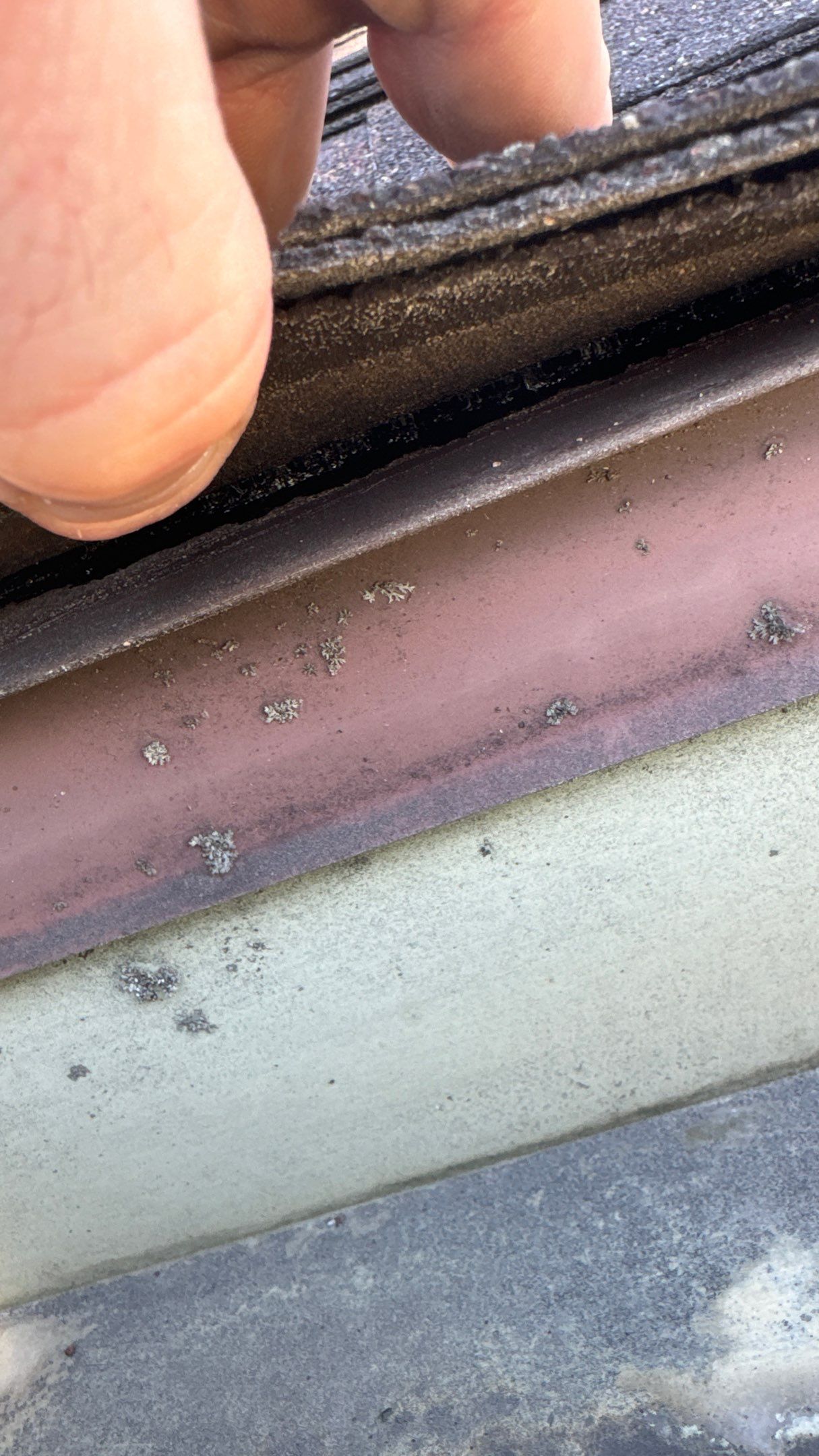 Roof Replacement using Owens Corning Brownwood by 180 Contractors