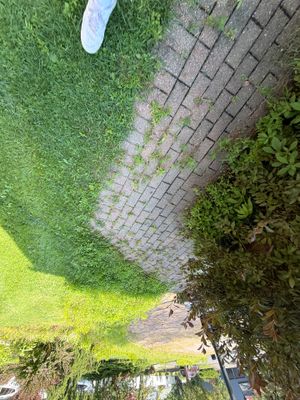 Window Cleaning in Springfield, NJ — Gallo Bros job photo