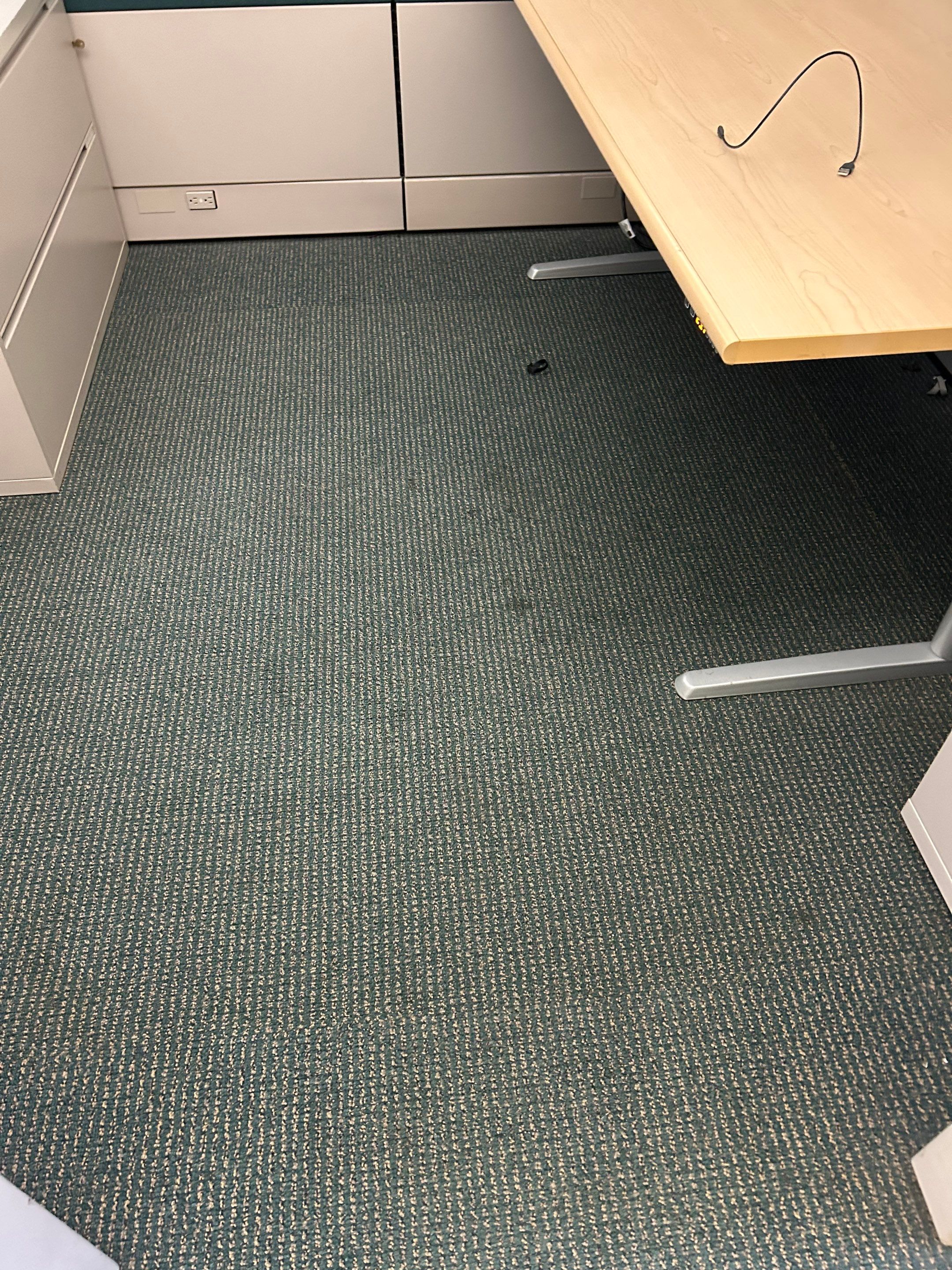 Current Condition by Corporate Care
