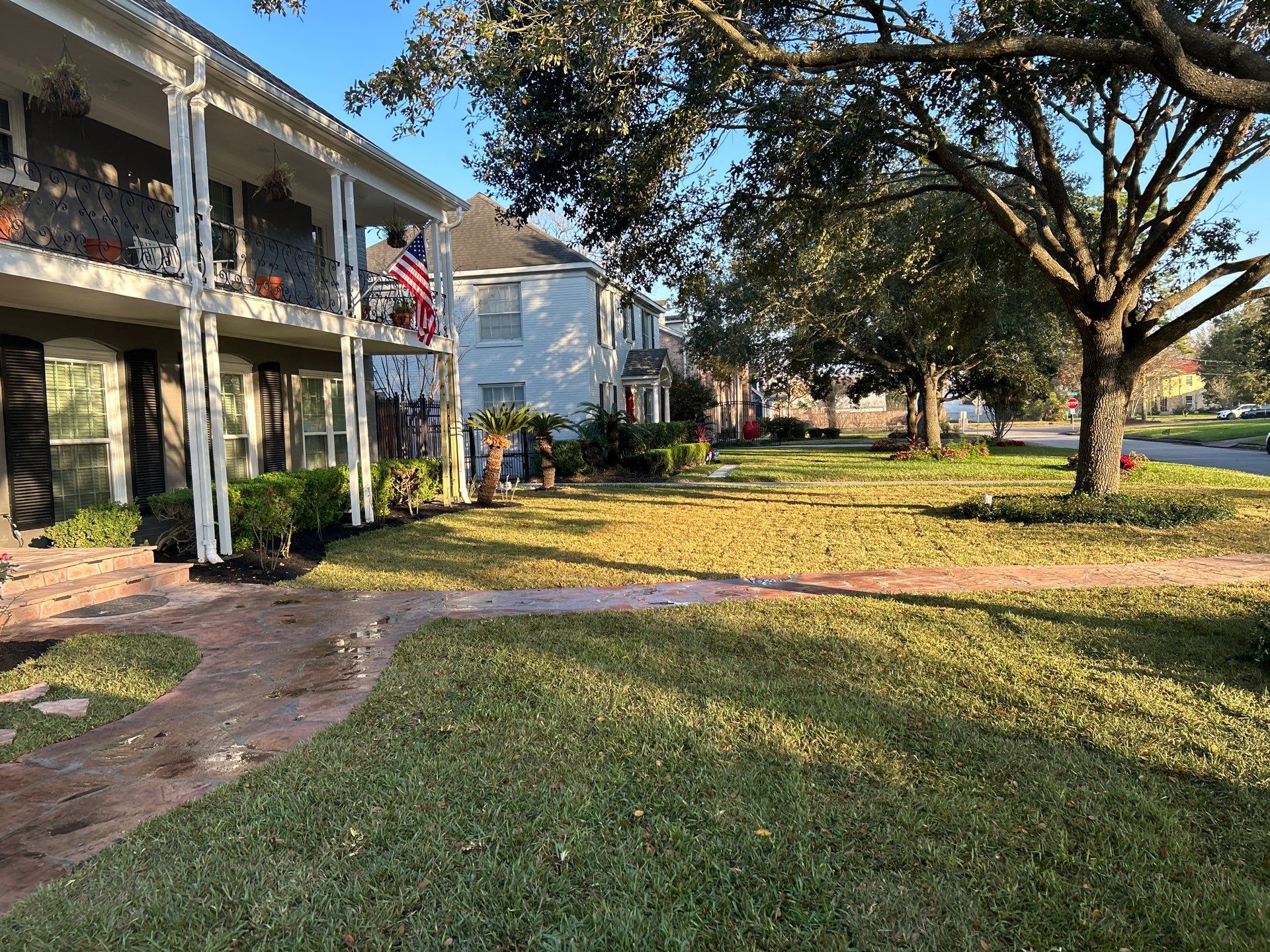 🌟 Mr. & Mrs. Tesla’s Complete Outdoor Makeover by Texas Urban Elements