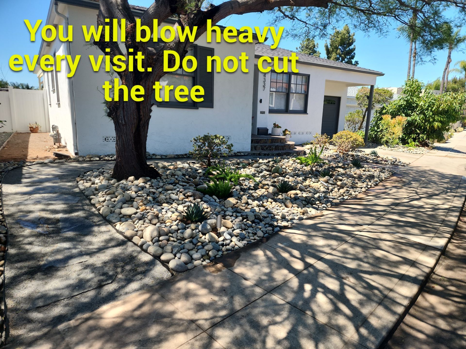 Xeriscape Transformation with River Rock and Irrigation in San Diego by Yard Techs