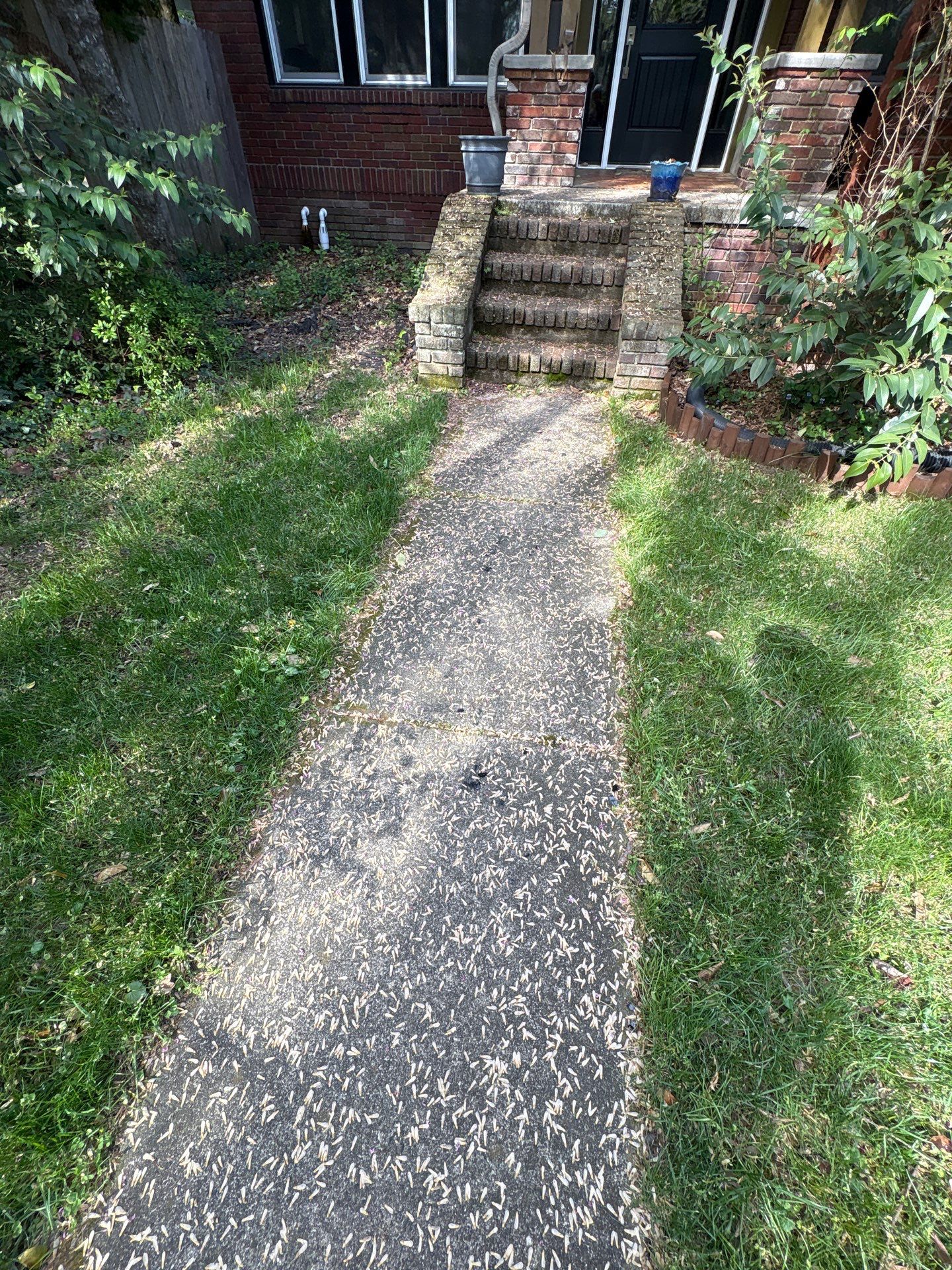 Patio pressure washing and residential driveway surface cleaning