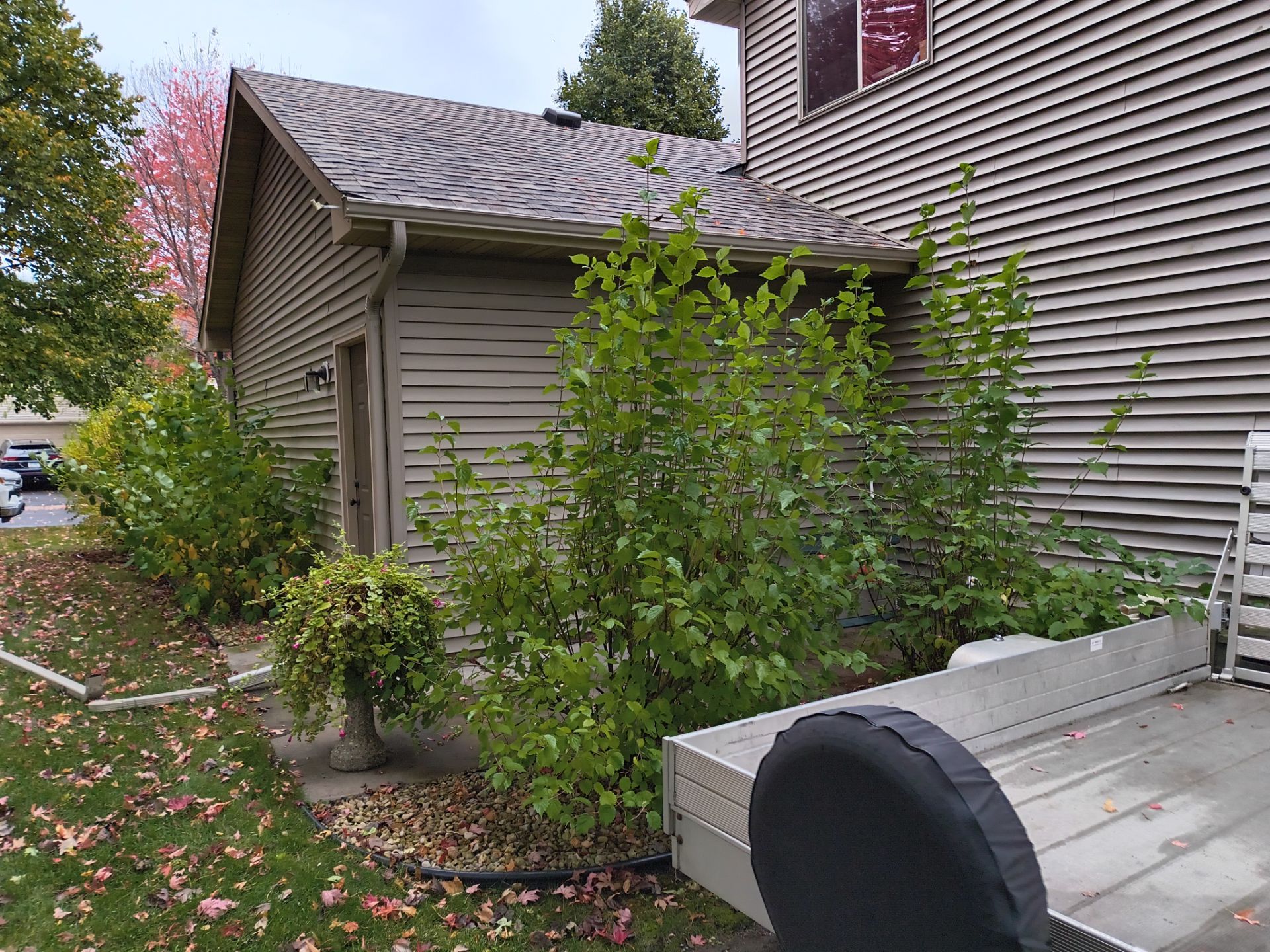 5" Gutter Installation with Leaf Protection Reinstalled – Waconia, MN by Next Level Seamless Gutters / Exteriors Inc.