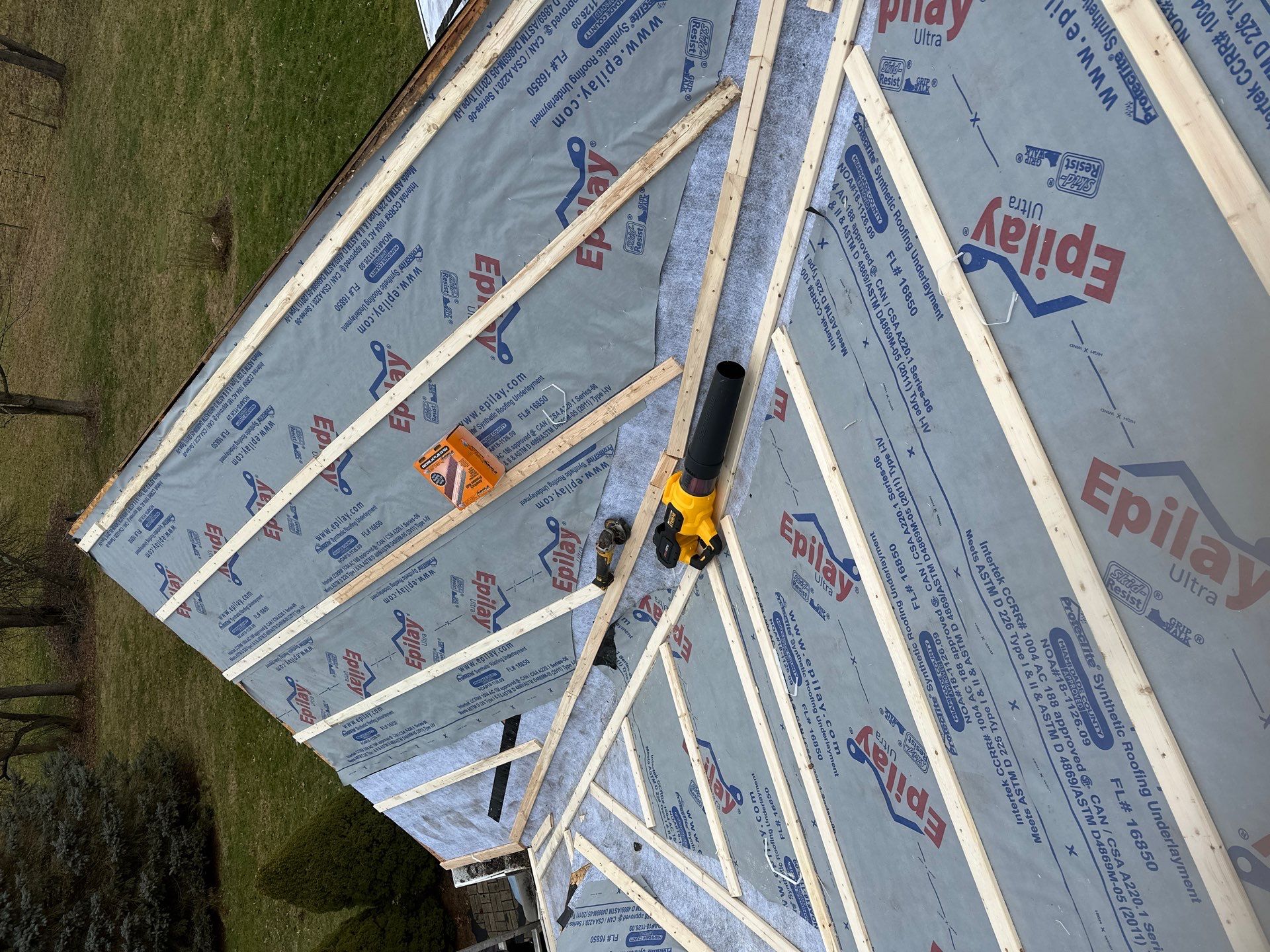 Alpha Rib, Color: Forest Green by Eagle Eye Roofing