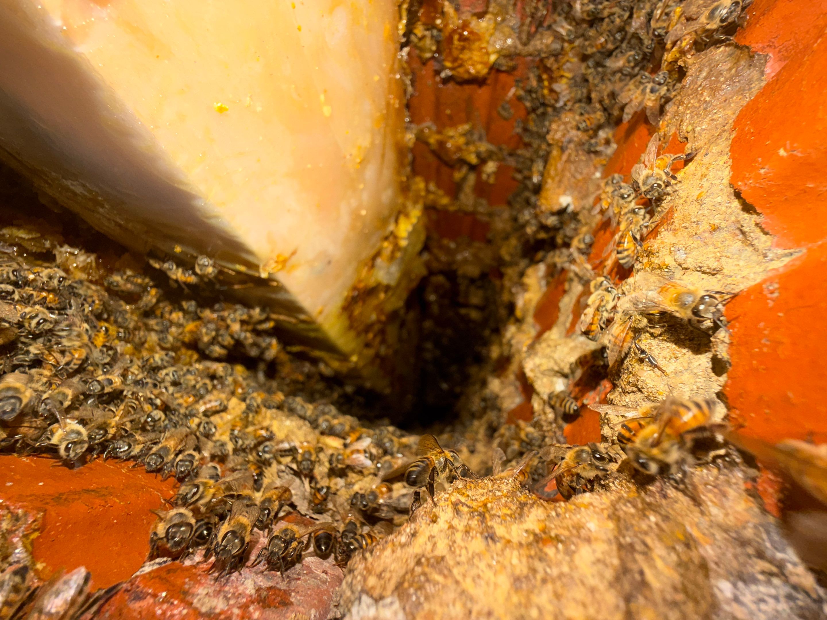 Brick Column by Rockwall Honey Bee Company