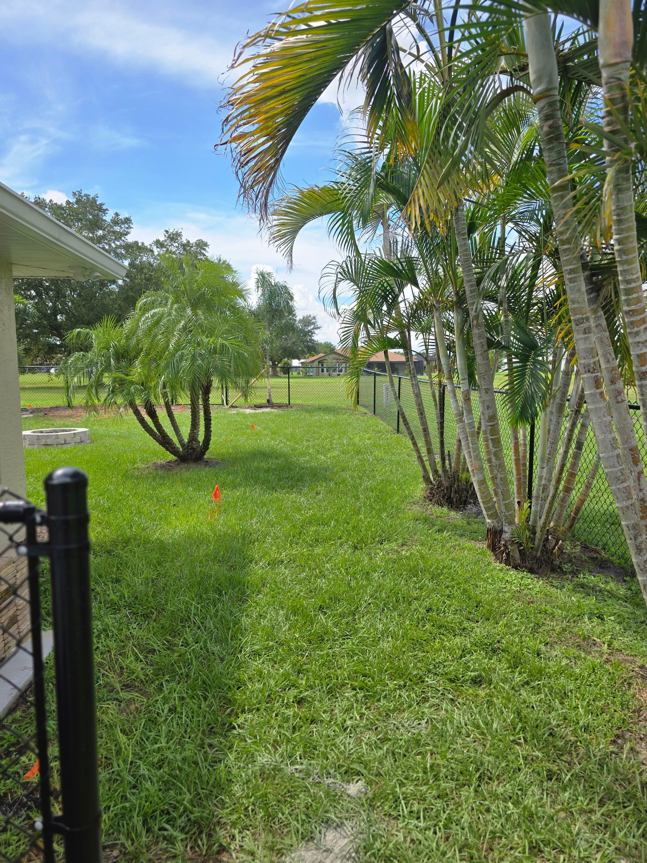Black Vinyl-Coated Chain Link Fence Installation in Punta Gorda by True Fence LLC