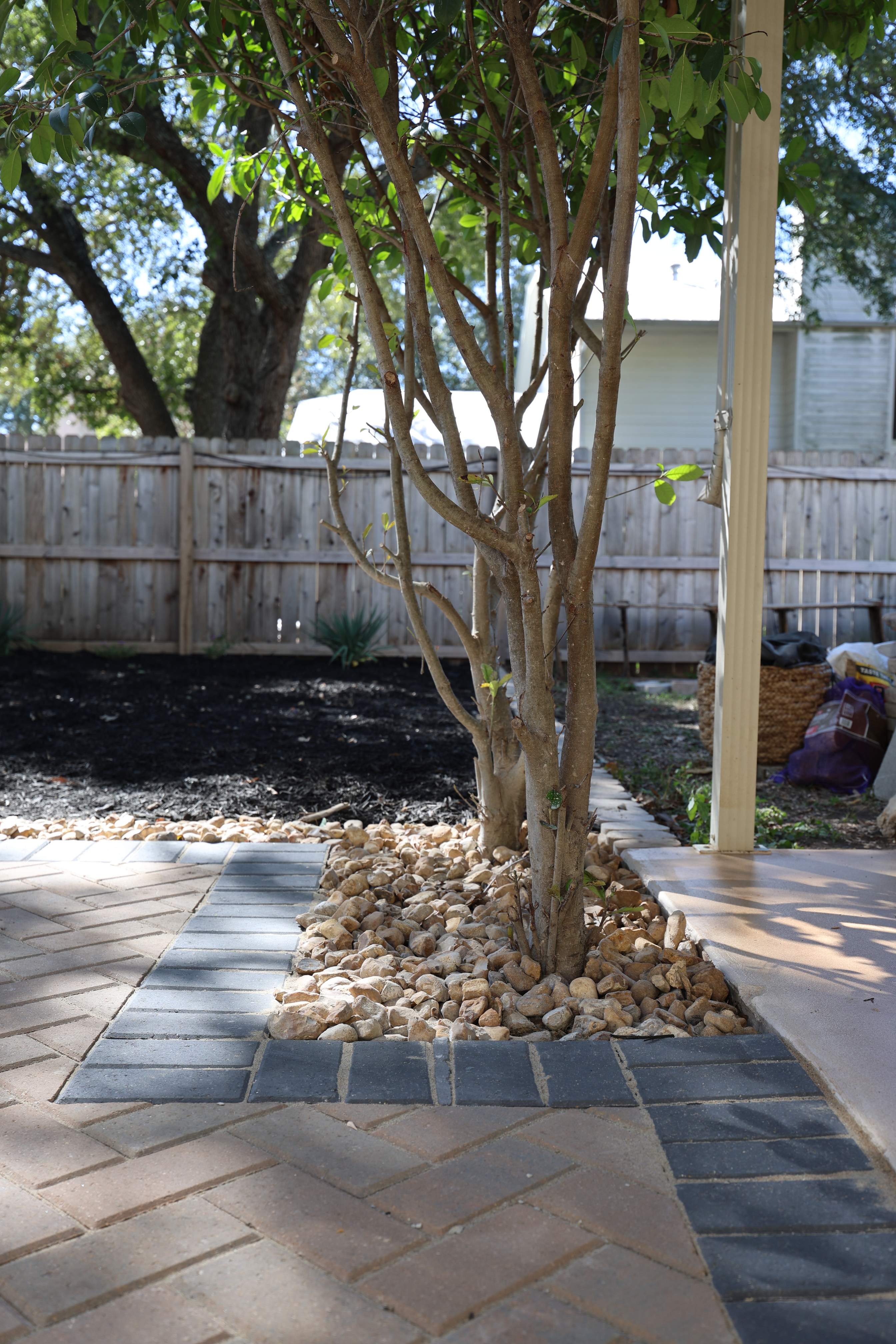 Eden, San Antonio, Tx. by Hole In One Lawns, LLC