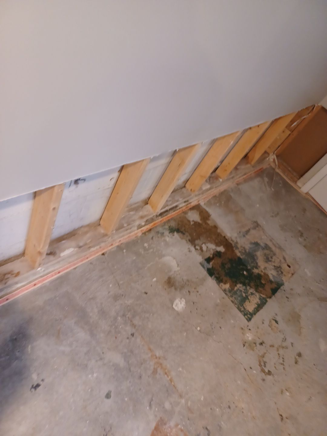 Project in Royal Oak by EzDry Water Mitigation & Property Restoration