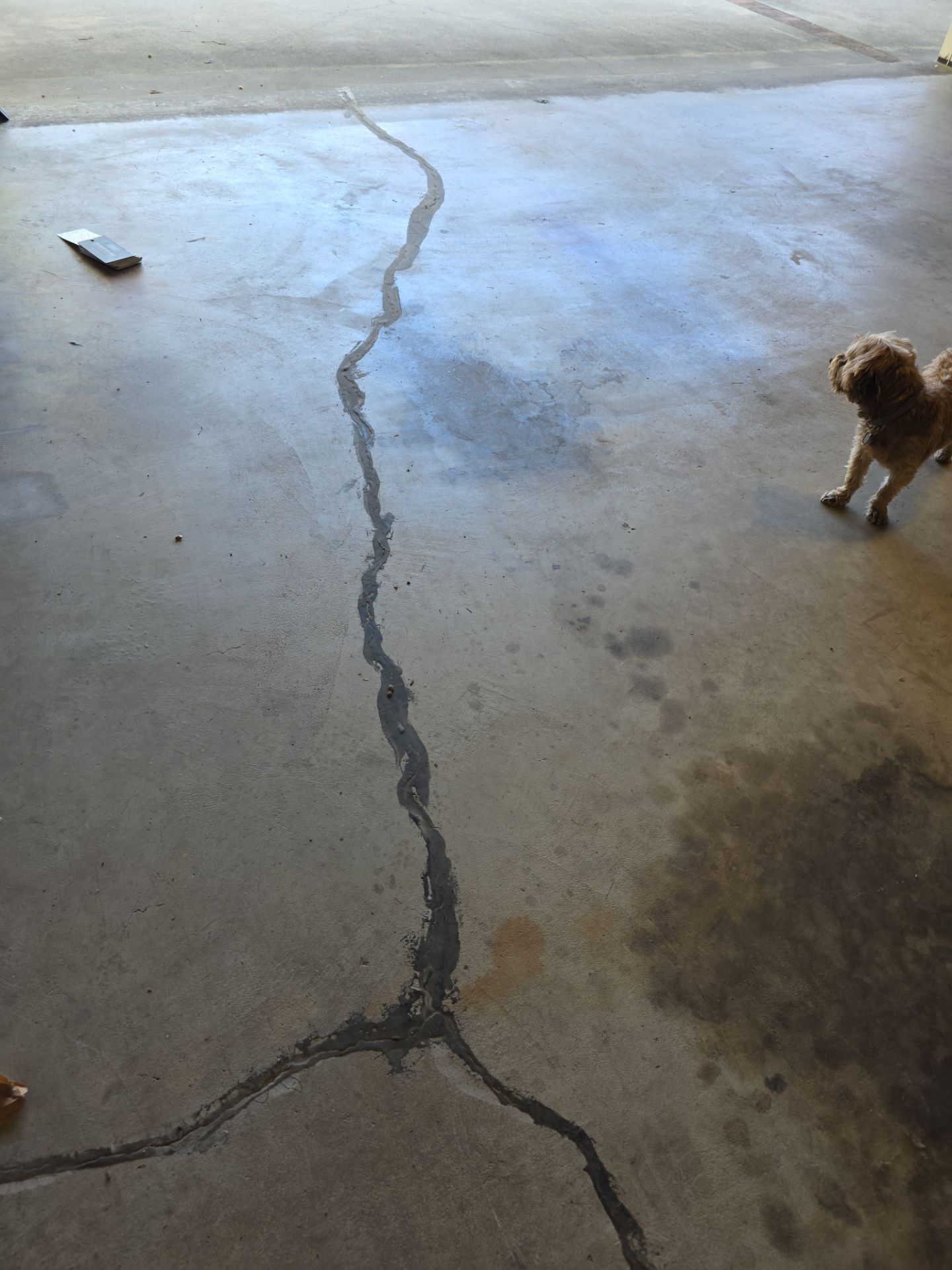Polyurea Garage Floor Coating with Coyote Chips in San Luis Obispo by MGP Coatings