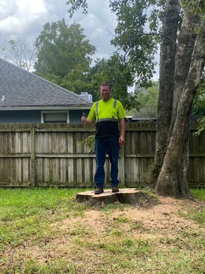 Tree Removal | Residential