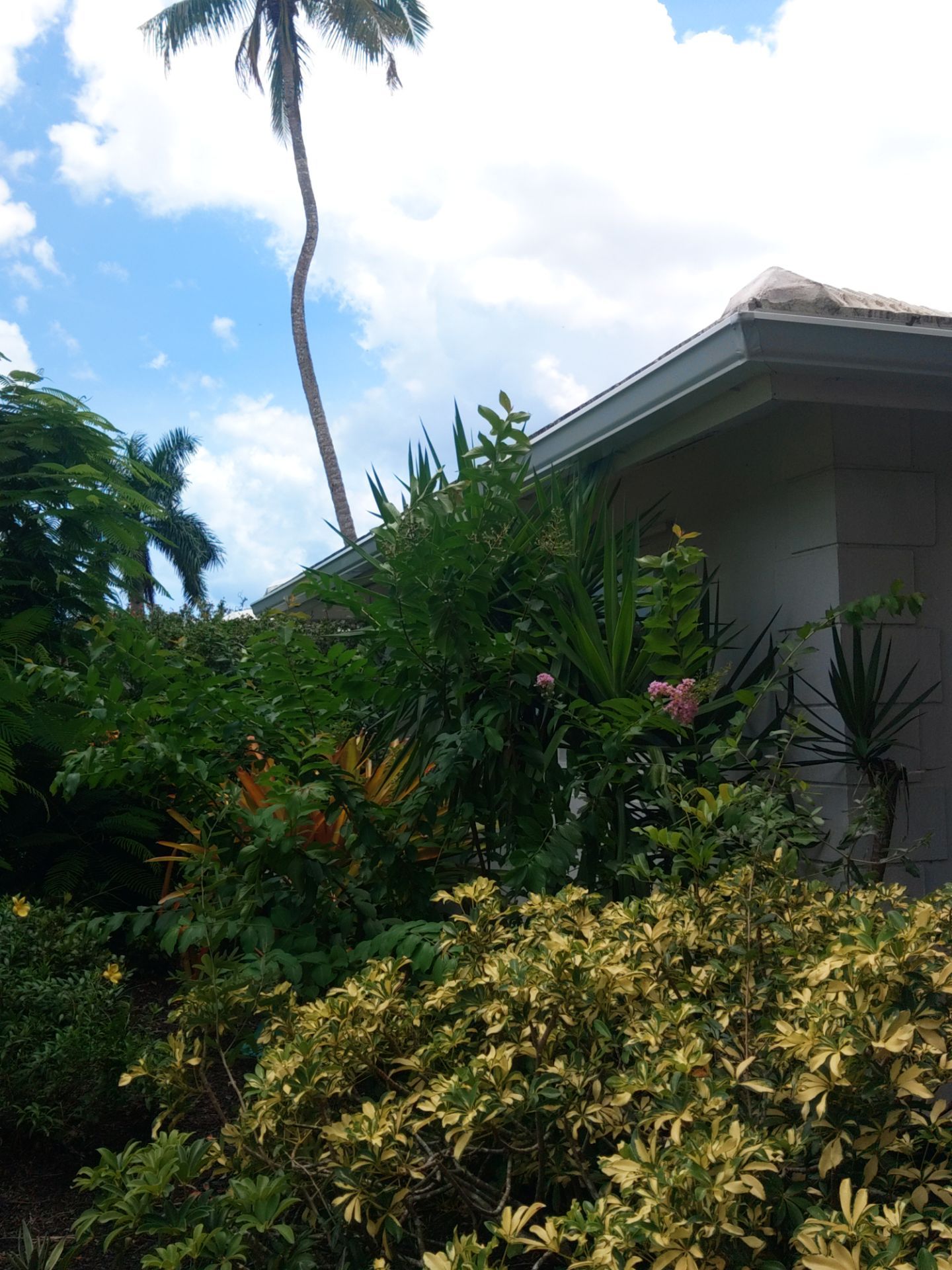 K-Style Seamless Gutter Installation using 3X4 Elbow Downspout in Marco Island, FL  by Gutter Professors