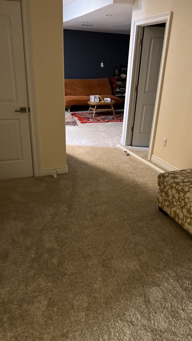 Mold Remediation by Accountable Home Services