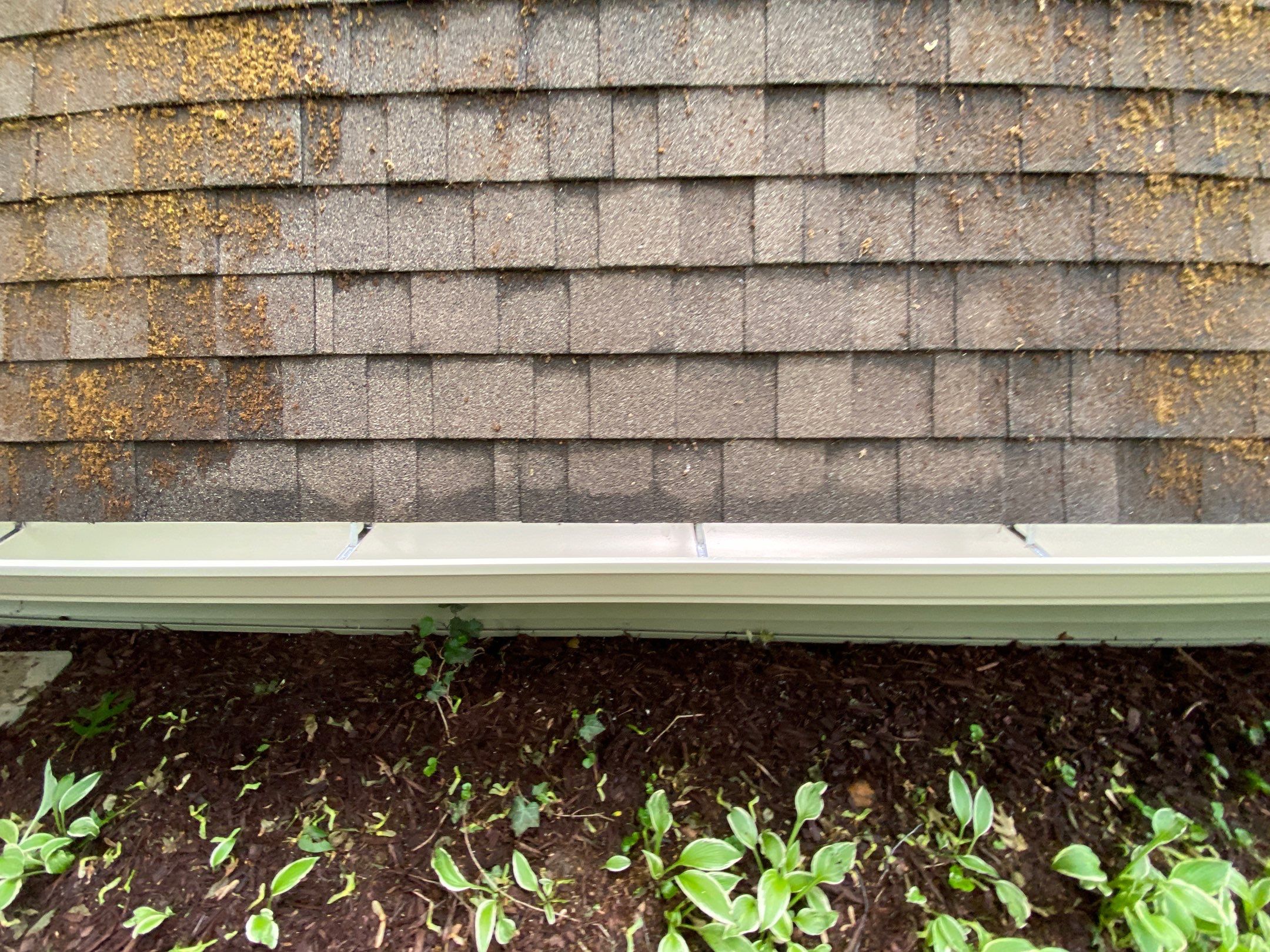 Siding Replacement using CertainTeed Restoration Classis D4 by 180 Contractors