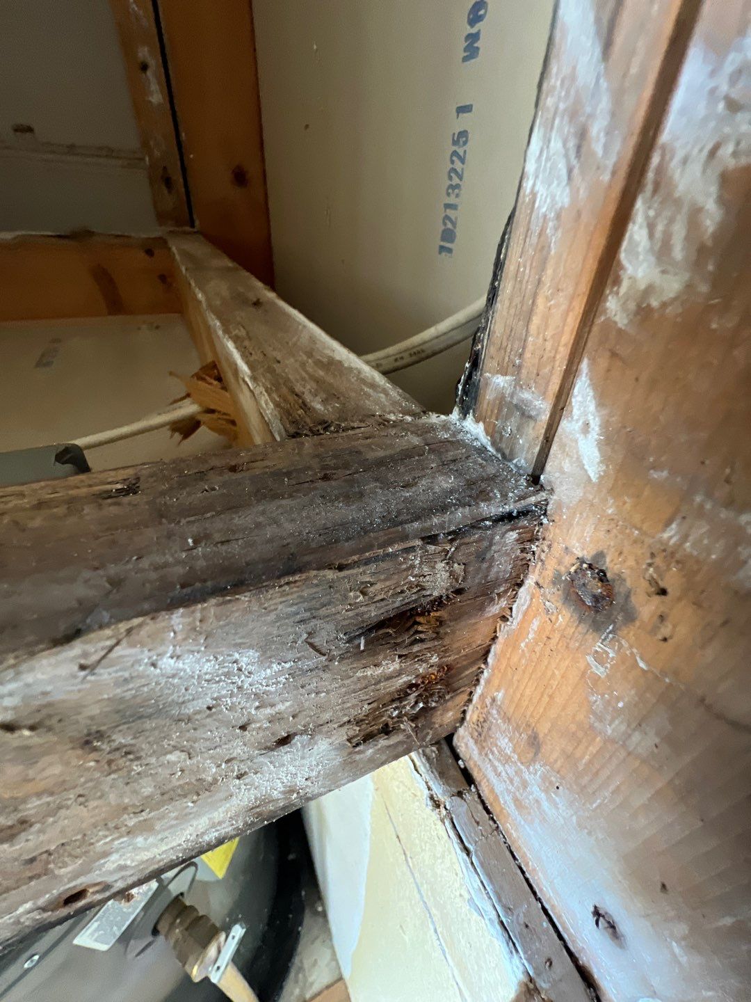Bradenton Mold Remediation by Ampm Restoration Services
