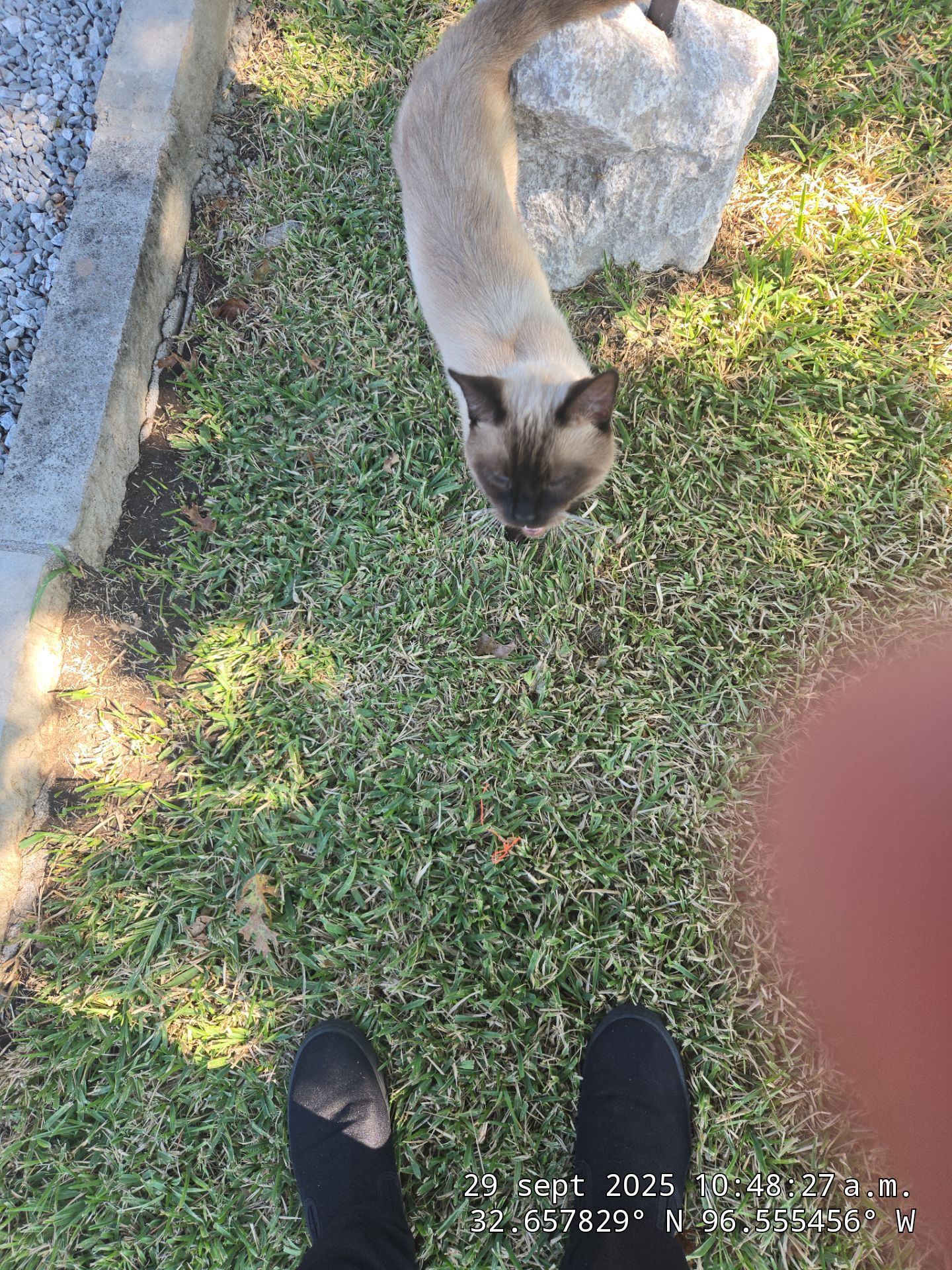 JUST ROOF GENERAL CONTRACTORS LLC featured photo.