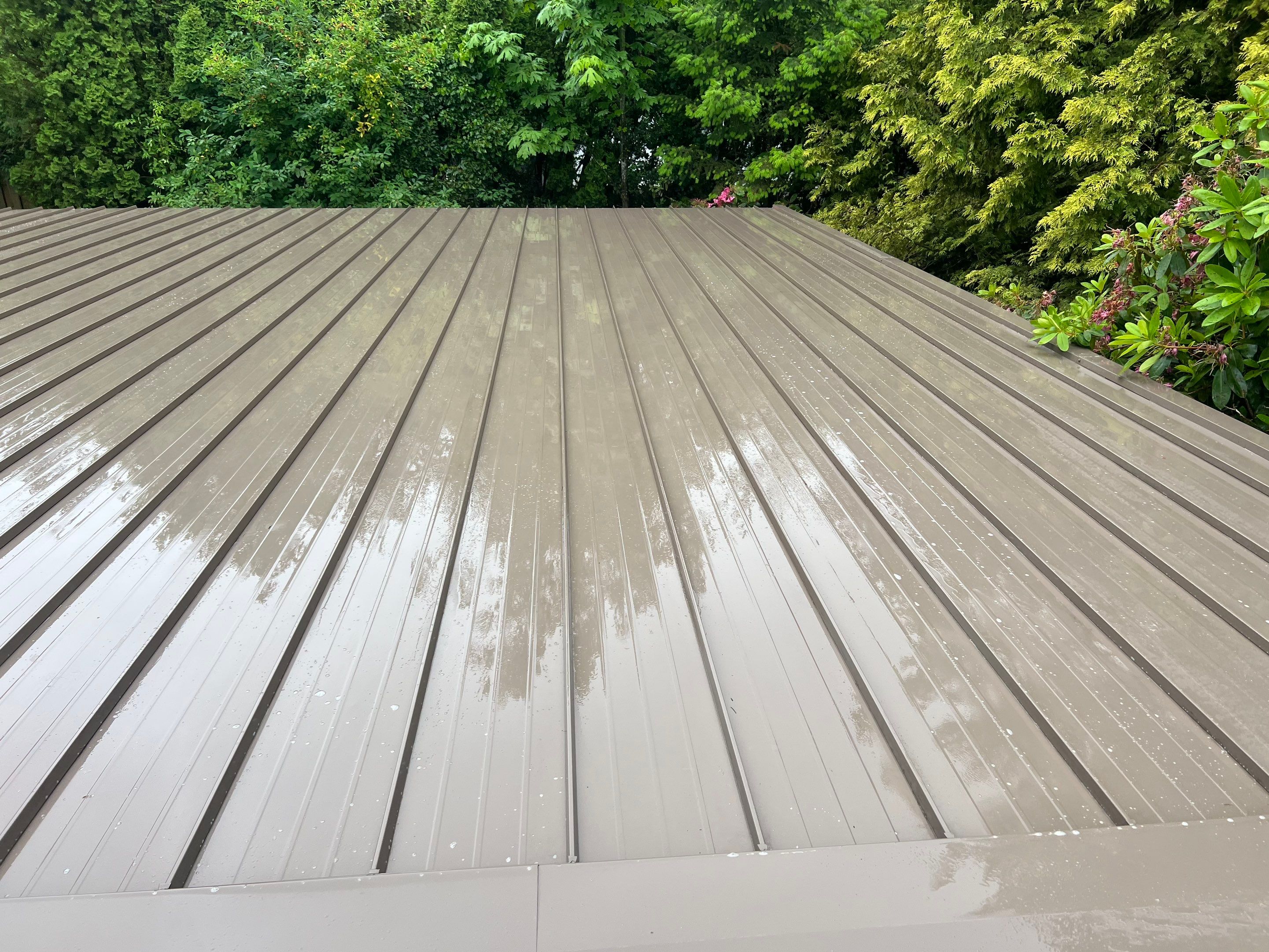 Roof Cleaning in Portland by Prodigy Roof Solutions
