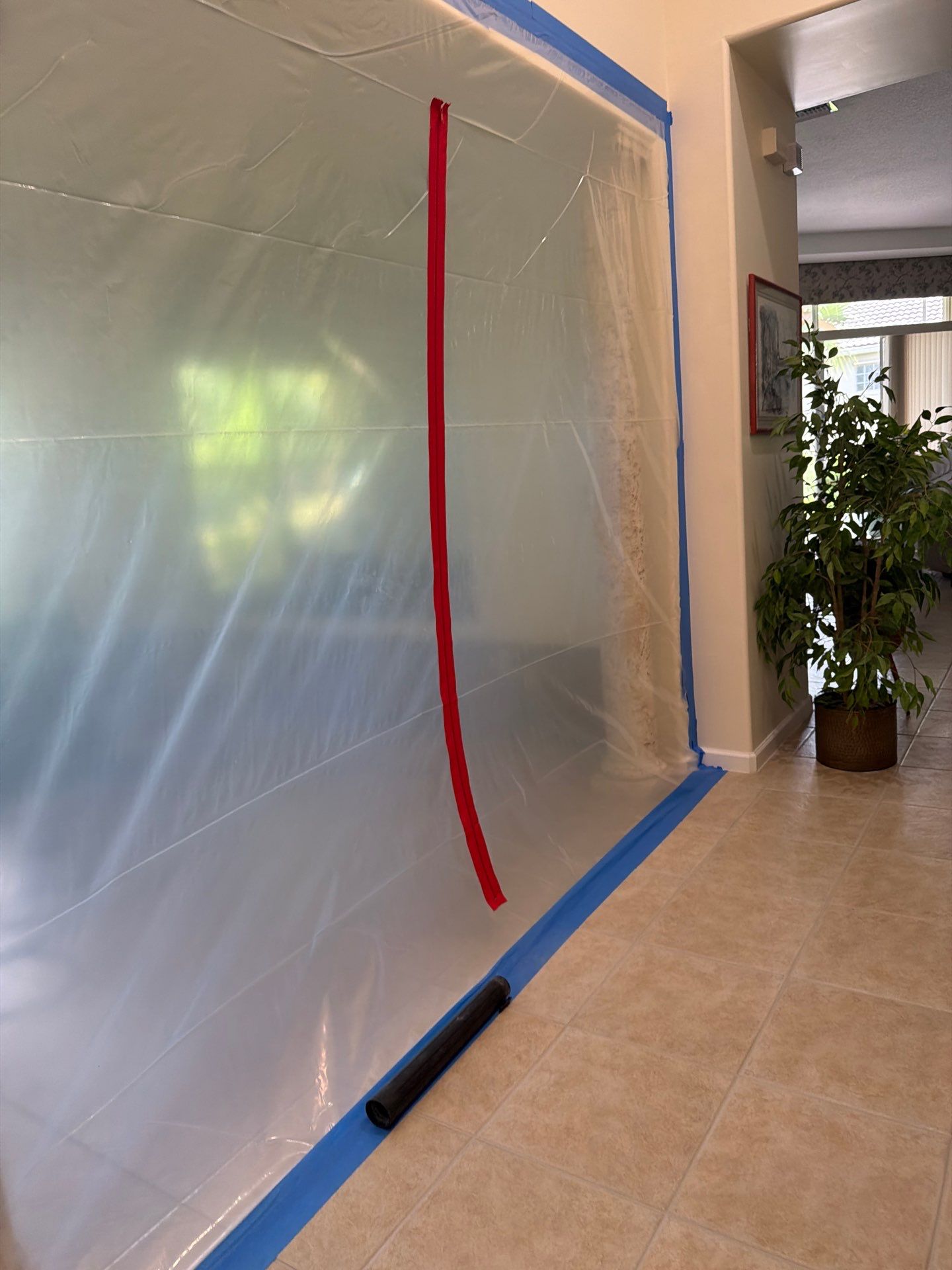 Professional Mold Remediation and Structural Drying in Wellington by SuperClean 