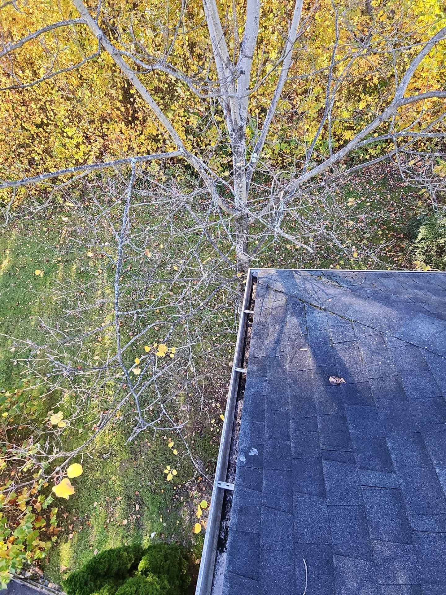 Commercial gutter cleaning Morgantown, WV	 after photo with clean gutters
