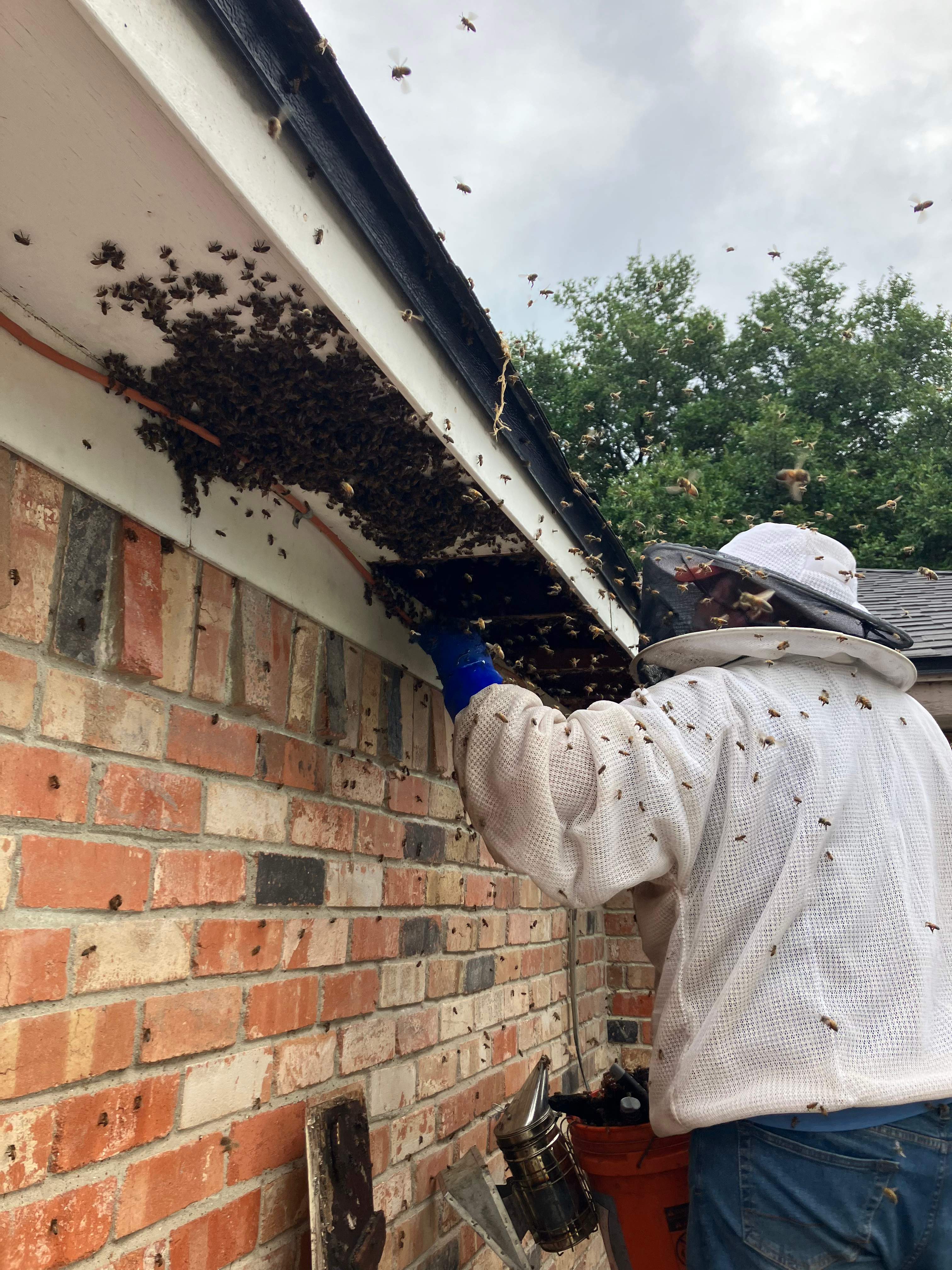 Improper Repair by Rockwall Honey Bee Company