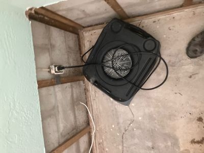 St. Pete Water Damage Mitigation