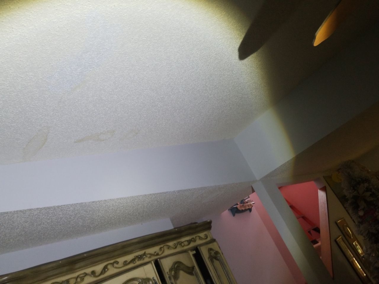 Asphalt Shingle Roof Leak Repair and Siding Restoration in Deerfield Beach by Aastro Roofing