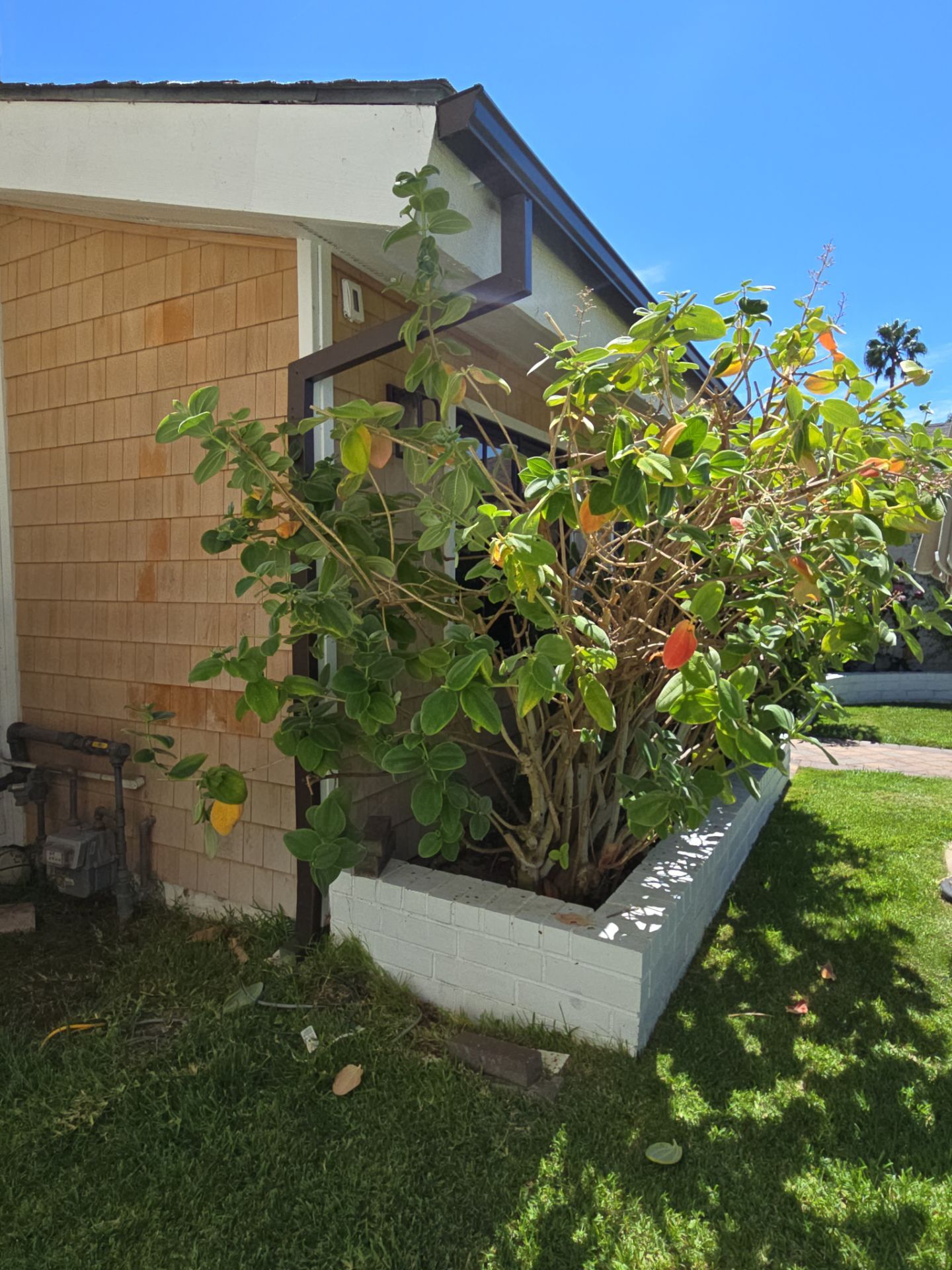 Gutter Project in Costa Mesa by Insulation Labs