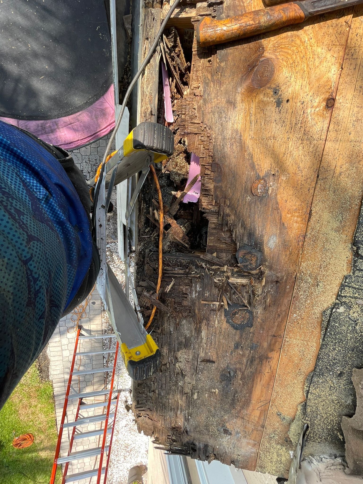 Roof repair due to bird-related damage by The Goat Contractor ( Giampri Corp)