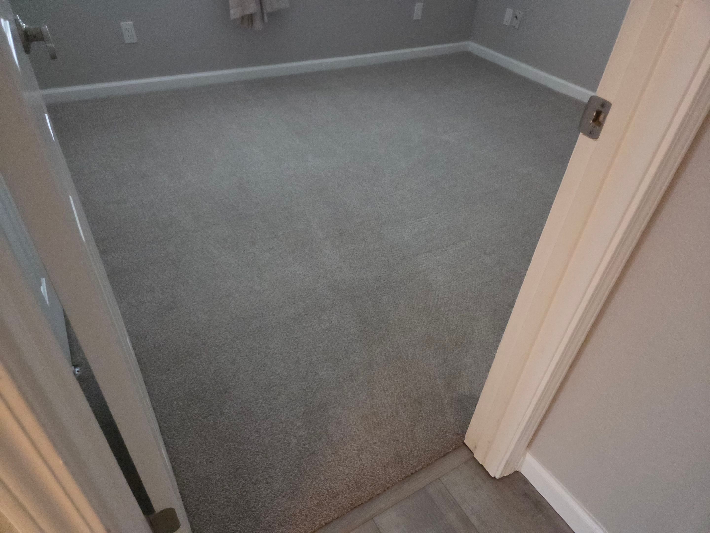 Carpet Cleaning and Stain Removal in Tallac Village by Ardent Carpet Restore LLC