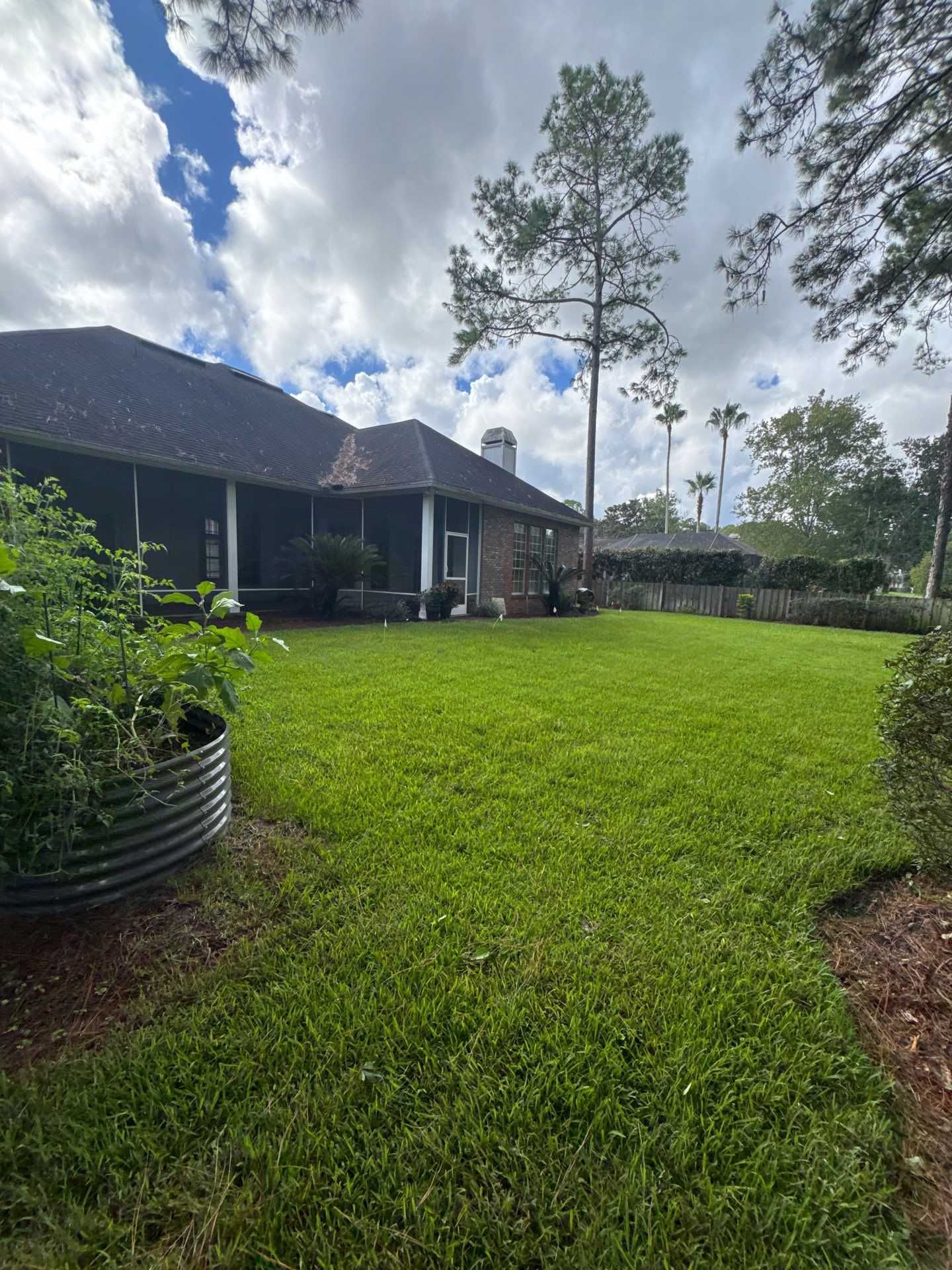Residential | Shrub Trimming by ProGreen Services
