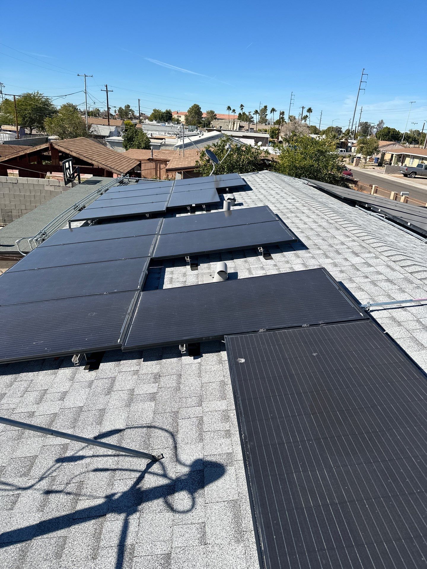 Silver Birch Shingles by Reimagine Roofing