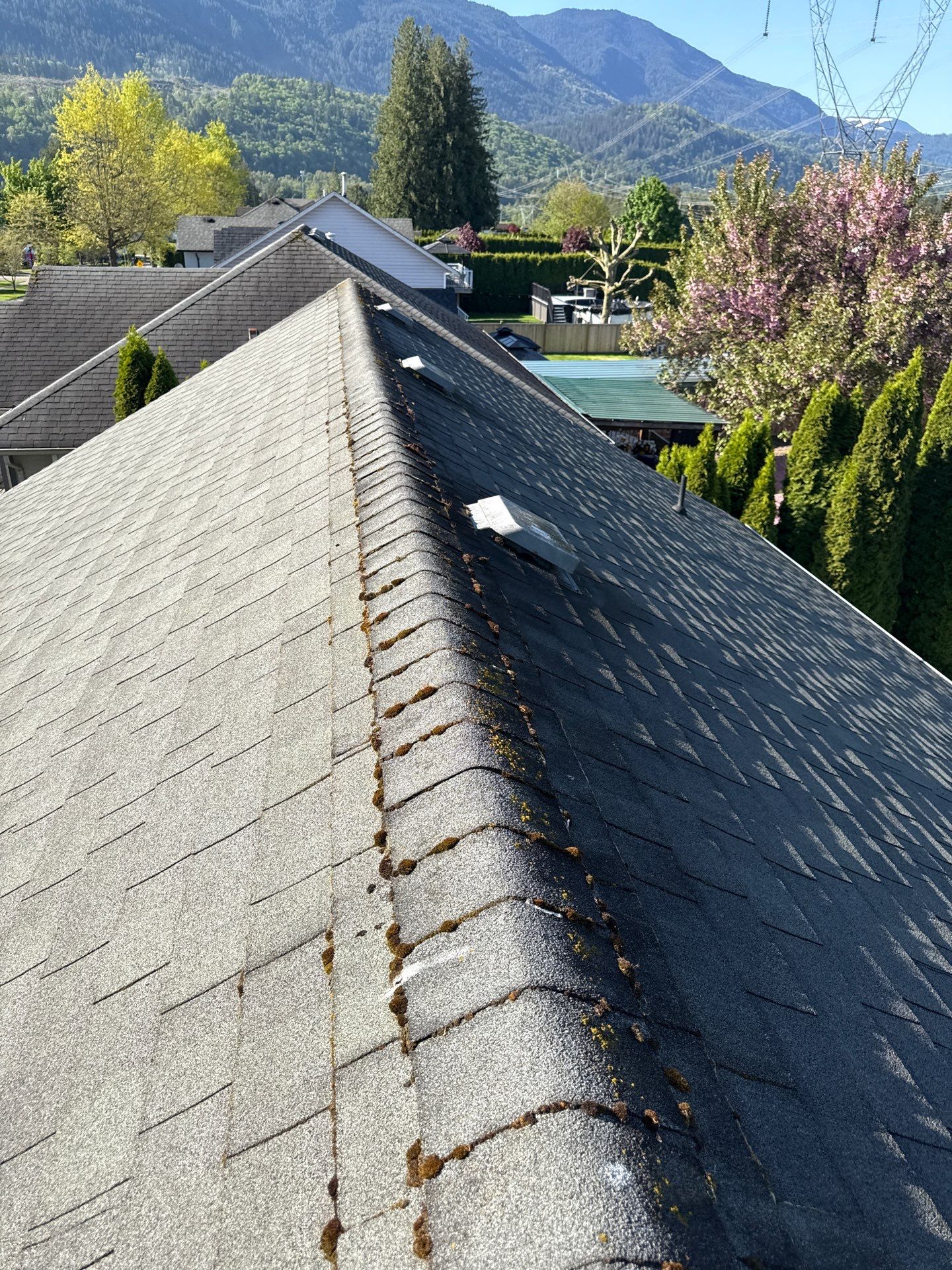 Residential Reroof Shingle -Charcoal by Top Notch Roofing Inc