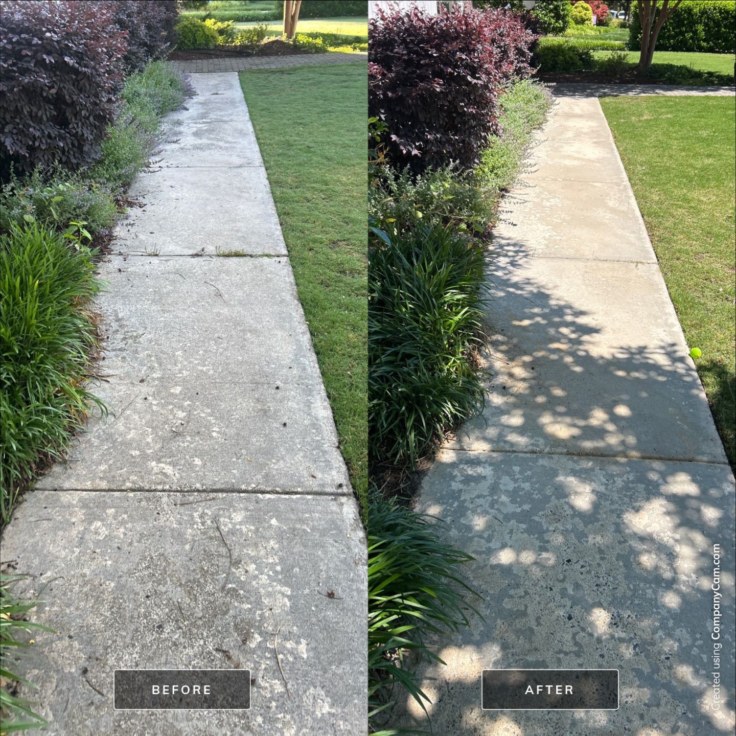 House Washing in Smithfield by Shark Power Washing