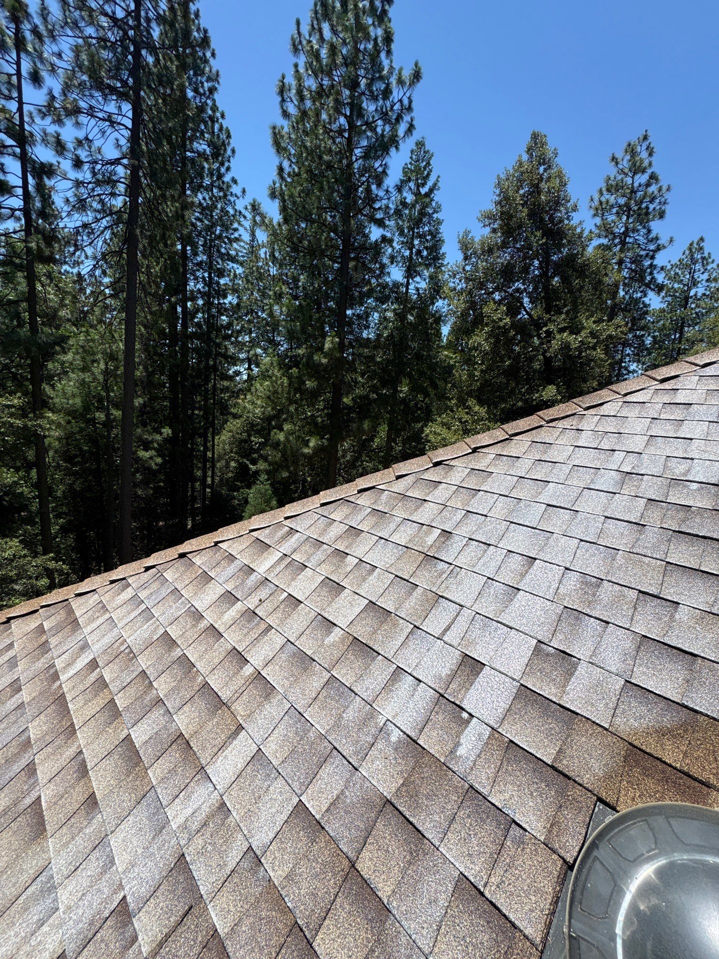 Roof Rejuvenation using Roof Maxx Treatment by Roof Maxx of Folsom