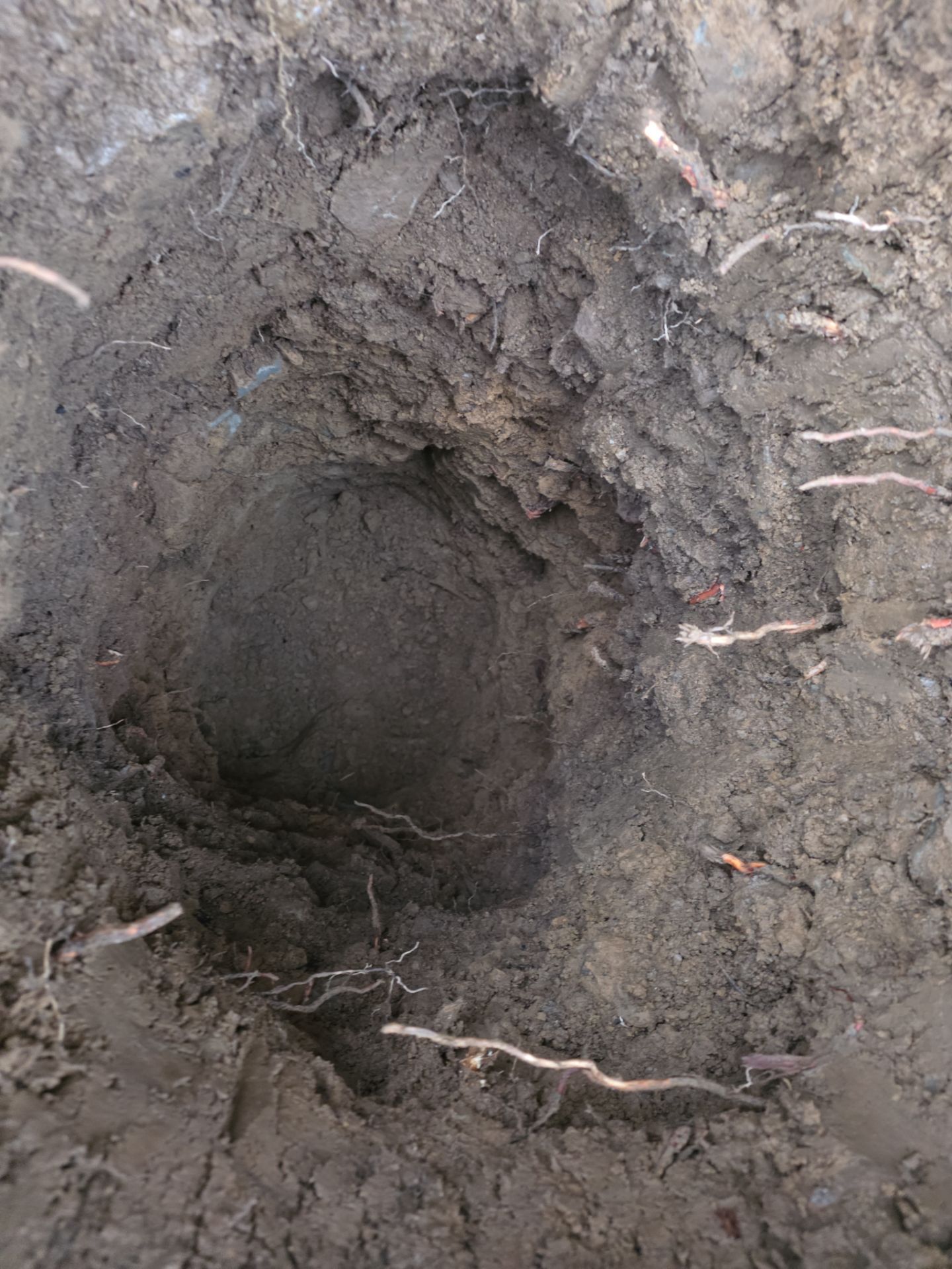 Project in Eaton by Parkhurst & Kent Construction llc 