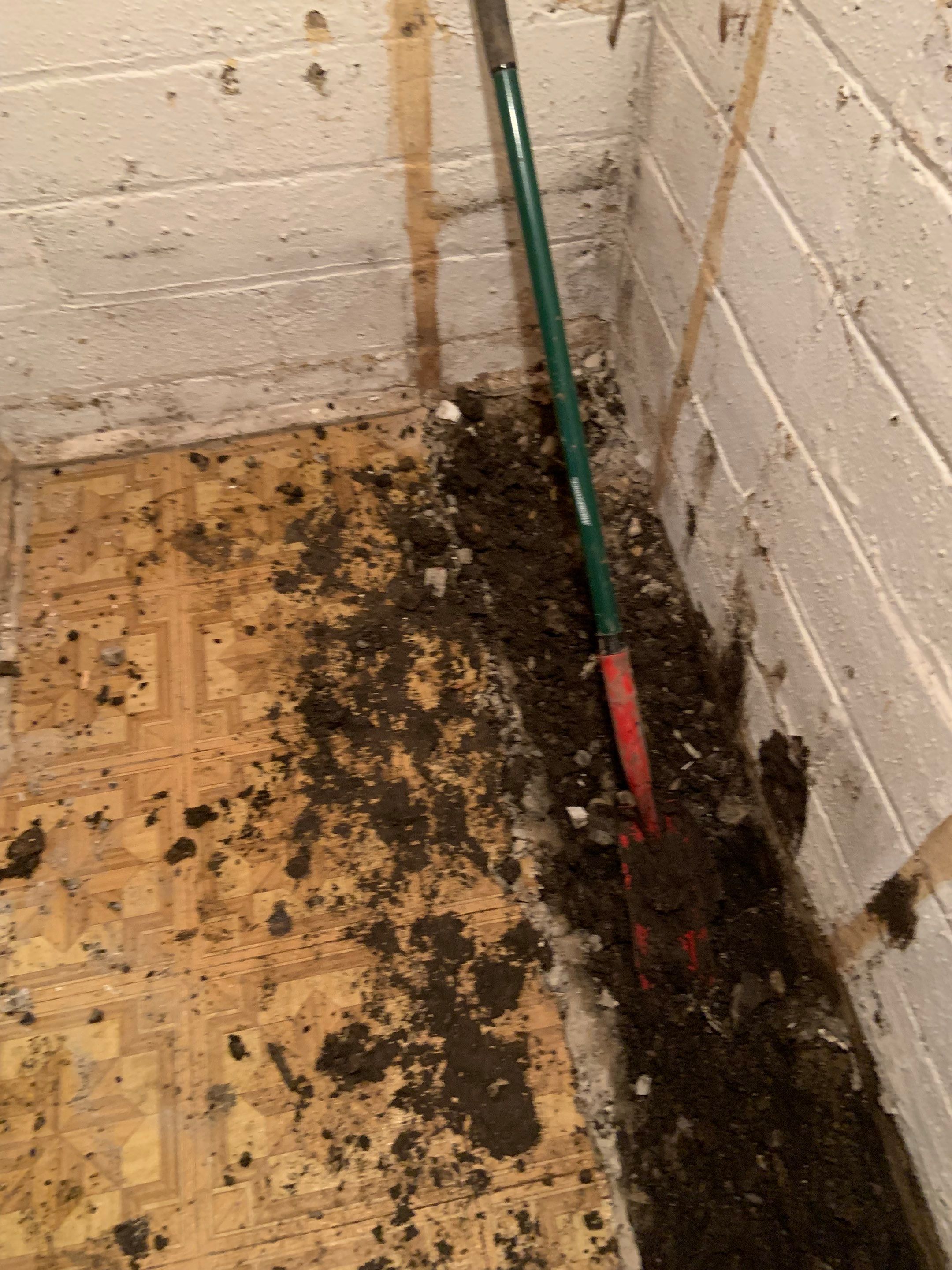 Competitive Pricing & Local Expertise for Claire by Waterproofing Northeast