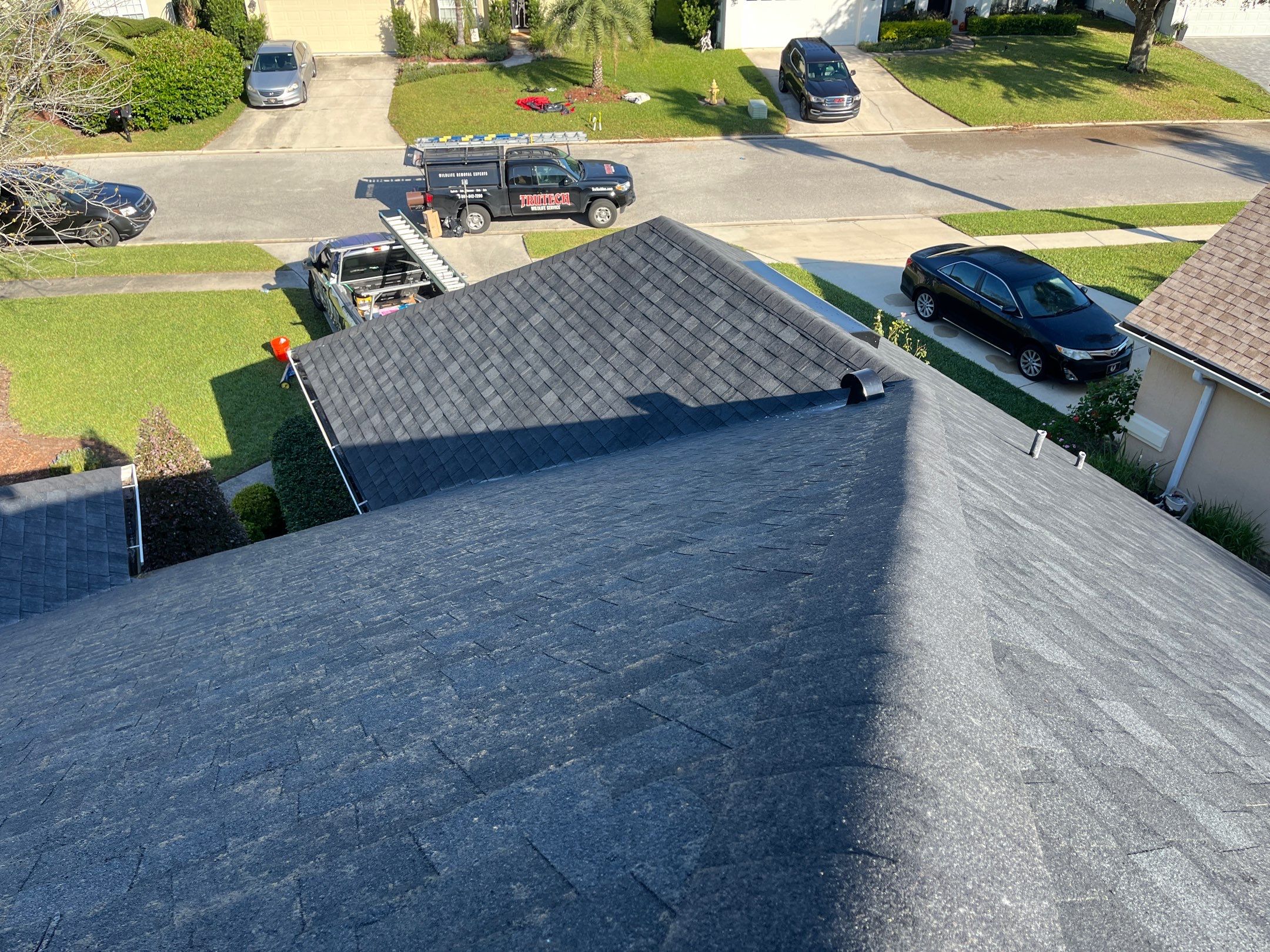 Shingle -> Shingle by Prime Roofing