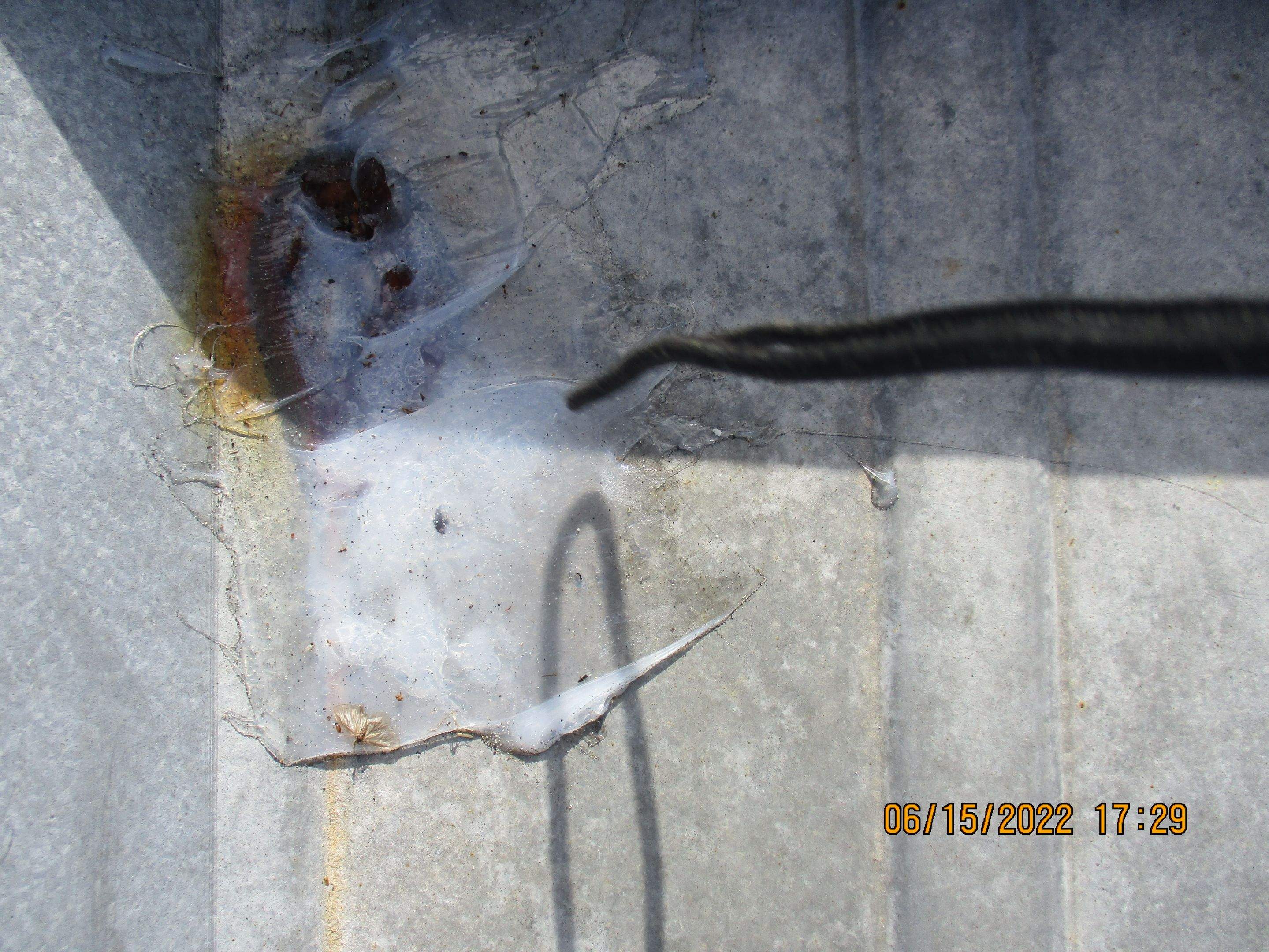 Calder Casino & Race Track Partial Metal Restoration  using #924 Eterna-Sil Premium Silicone Roof Coating by Morton Roofing, Inc.