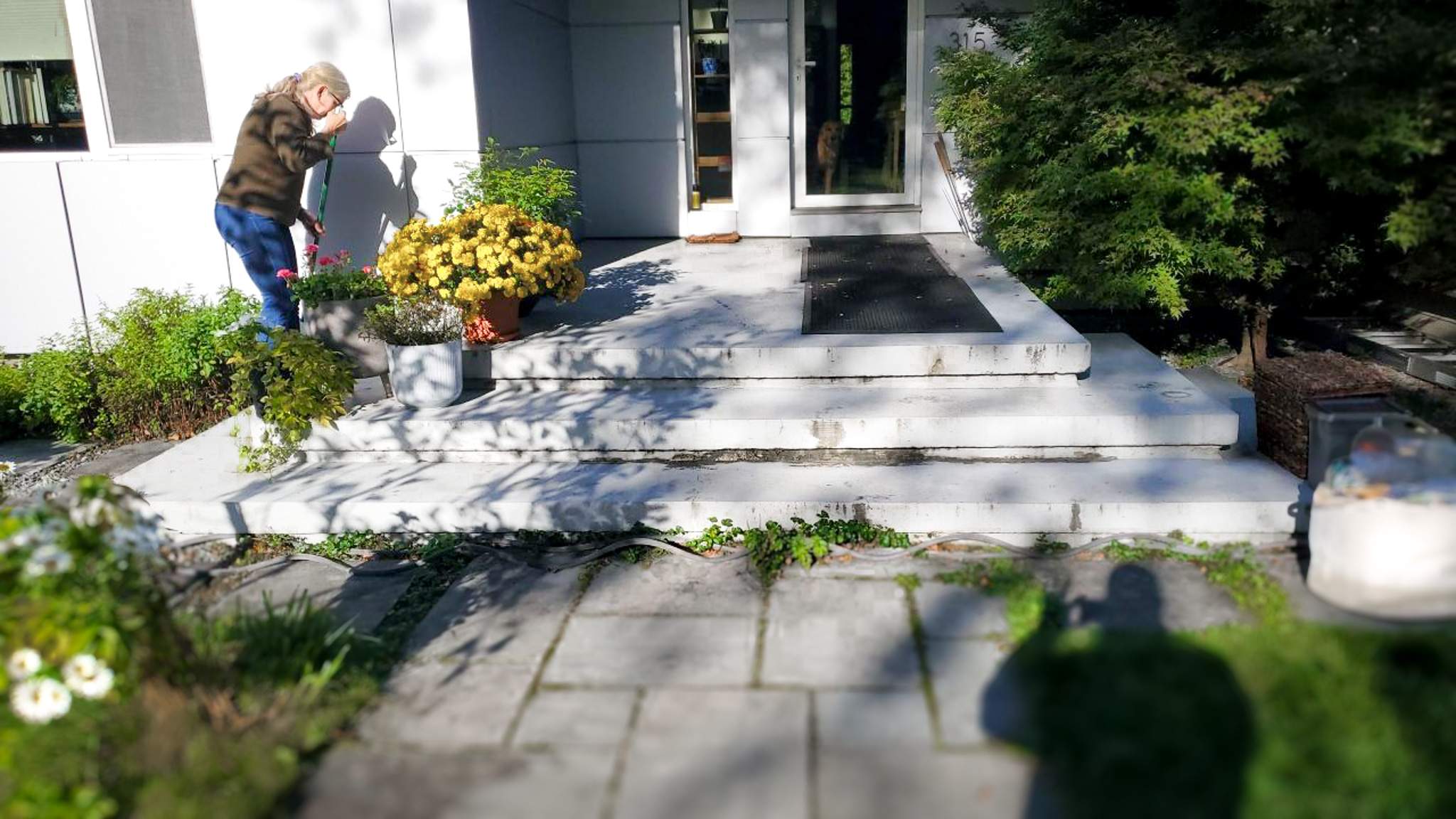 Walkway/Steps in South Hamilton, MA 01982 by Symphony Concrete Coatings