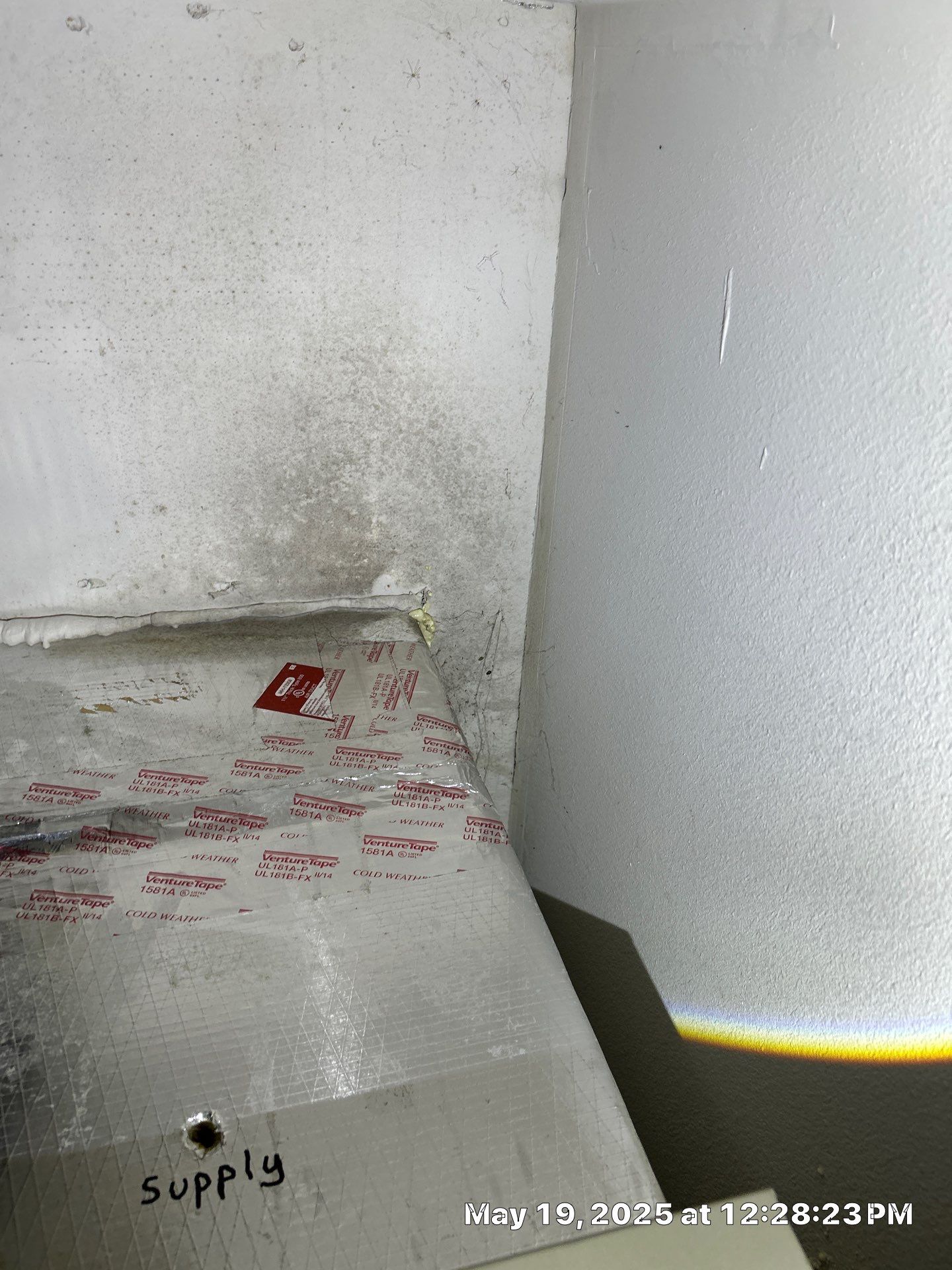 Sarasota Mold Damage by Ampm Restoration Services
