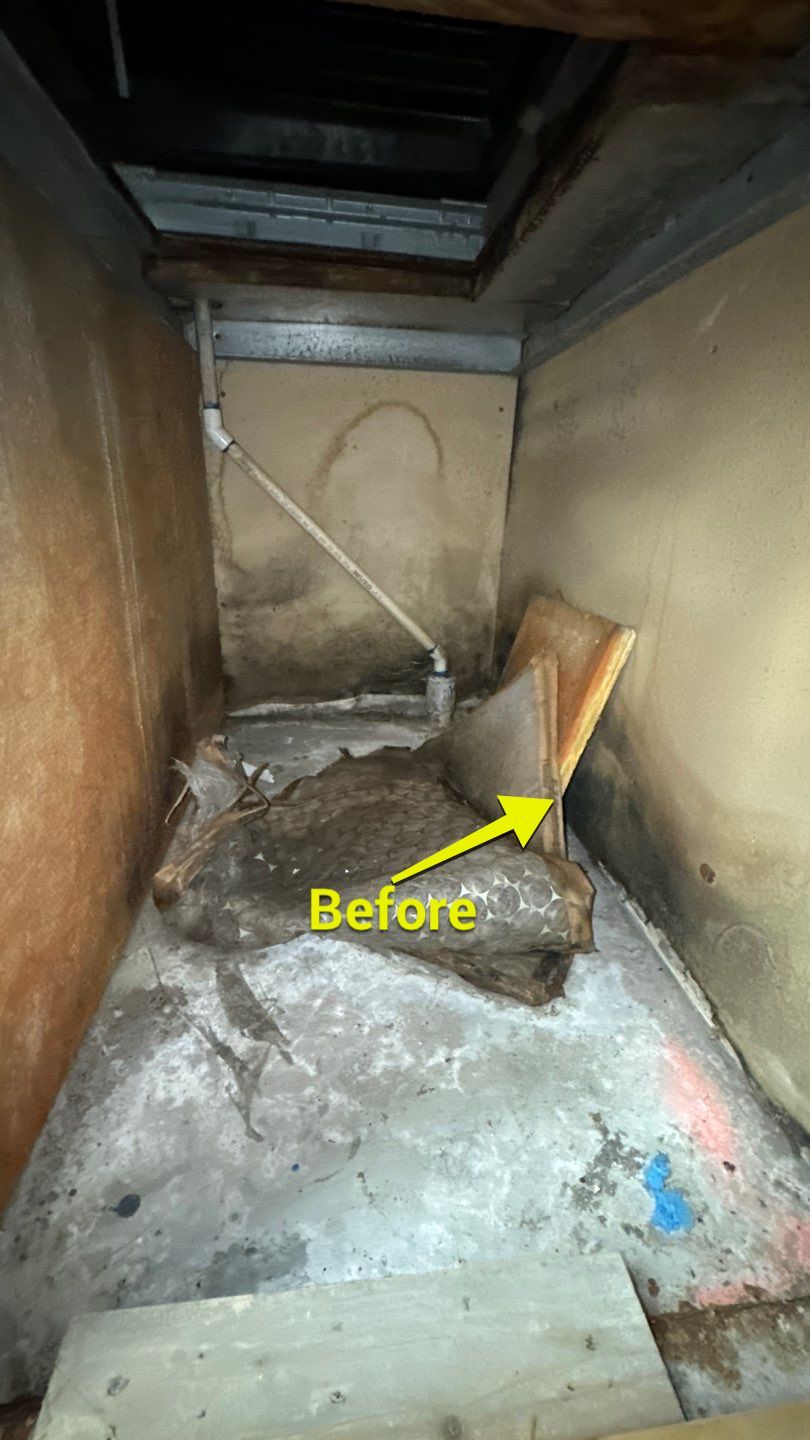 Commercial Air Duct Cleaning in Tavares by Hygienic Air, Inc