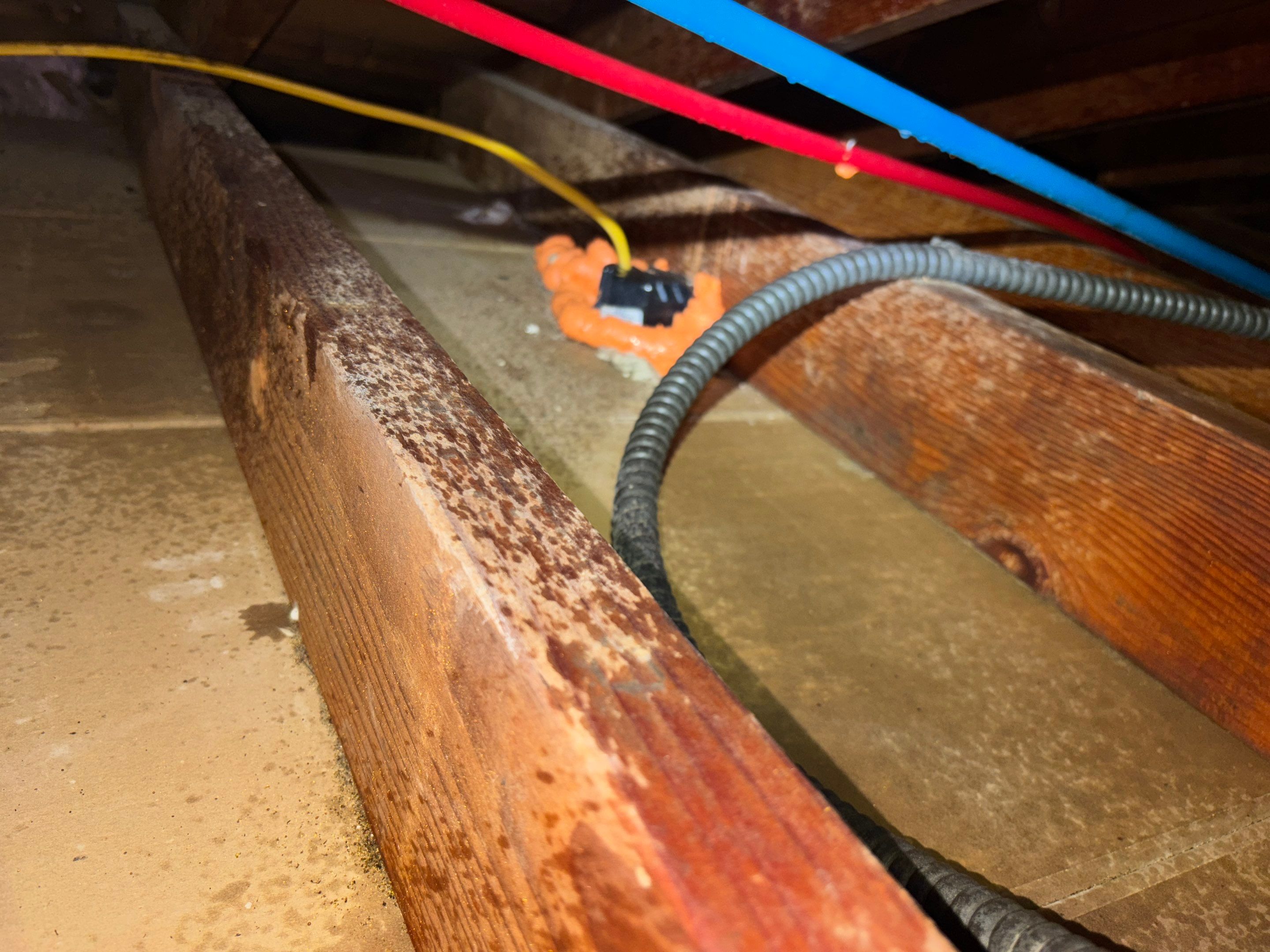 Project in Northridge by Insulation Labs