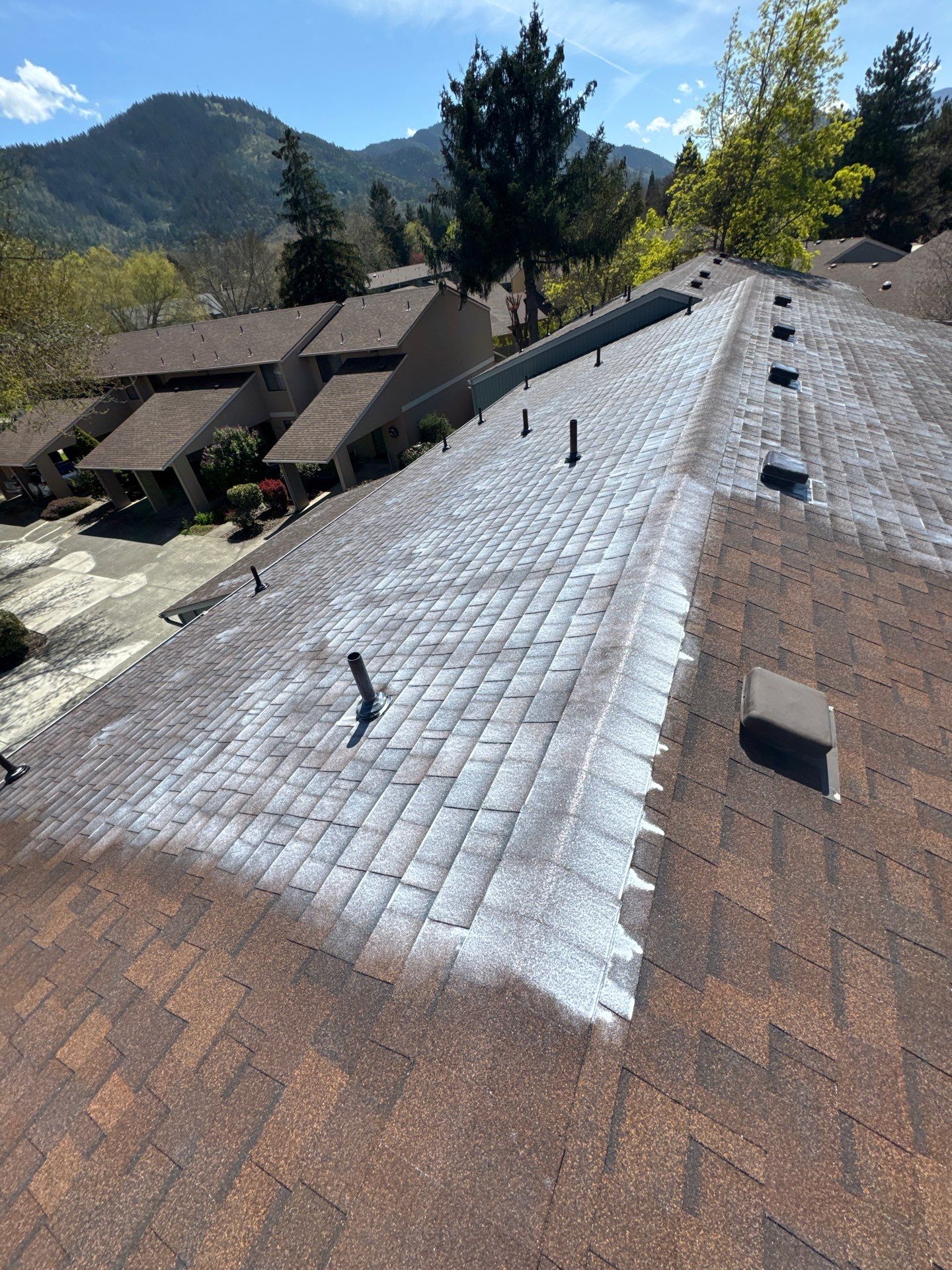 Project in Grants Pass by Roof Maxx of Grants Pass