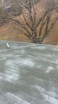 Project in Petersburg